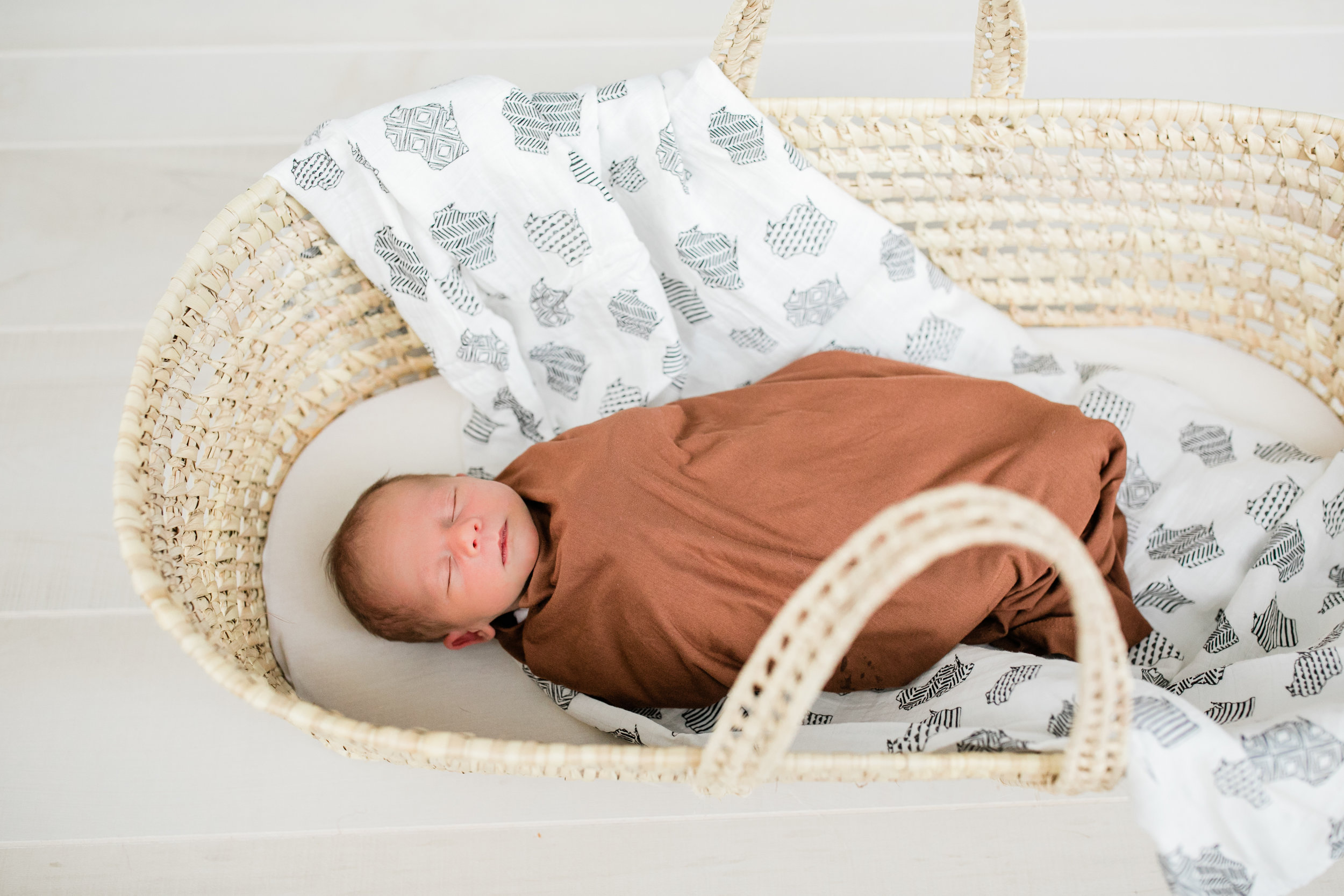 vanessa wyler pewaukee waukesha newborn photography