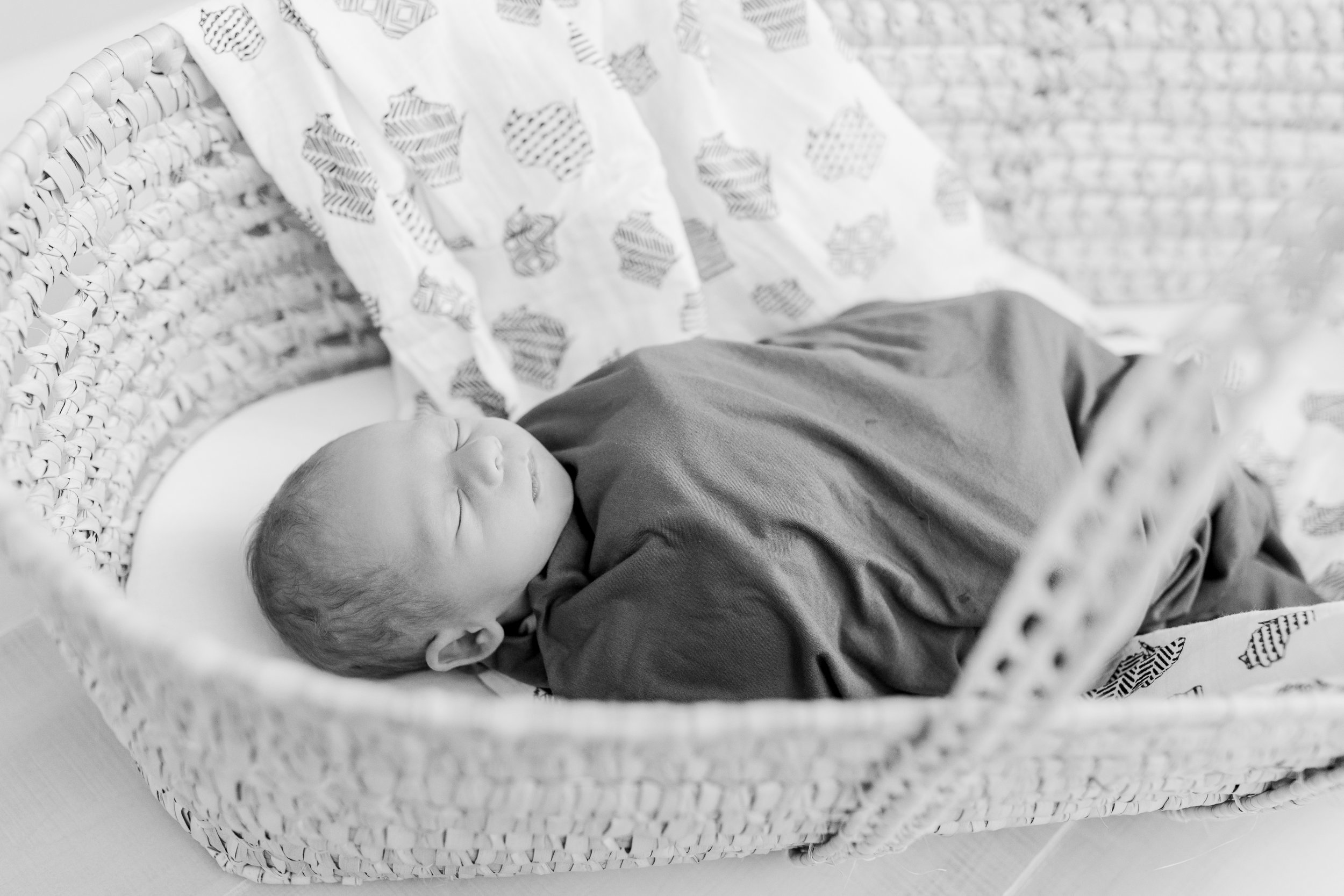 vanessa wyler pewaukee waukesha newborn photography