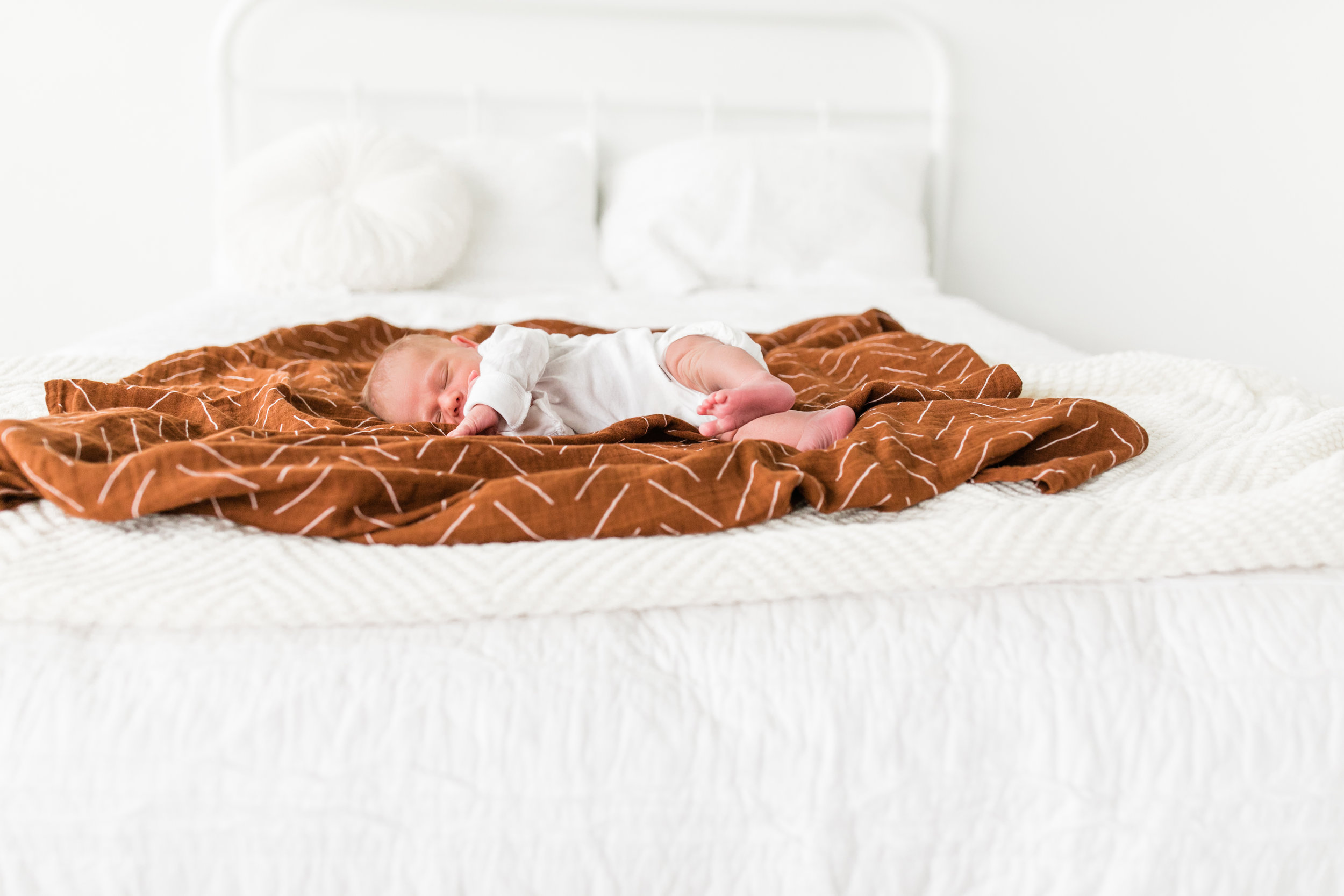 vanessa wyler pewaukee waukesha newborn photography