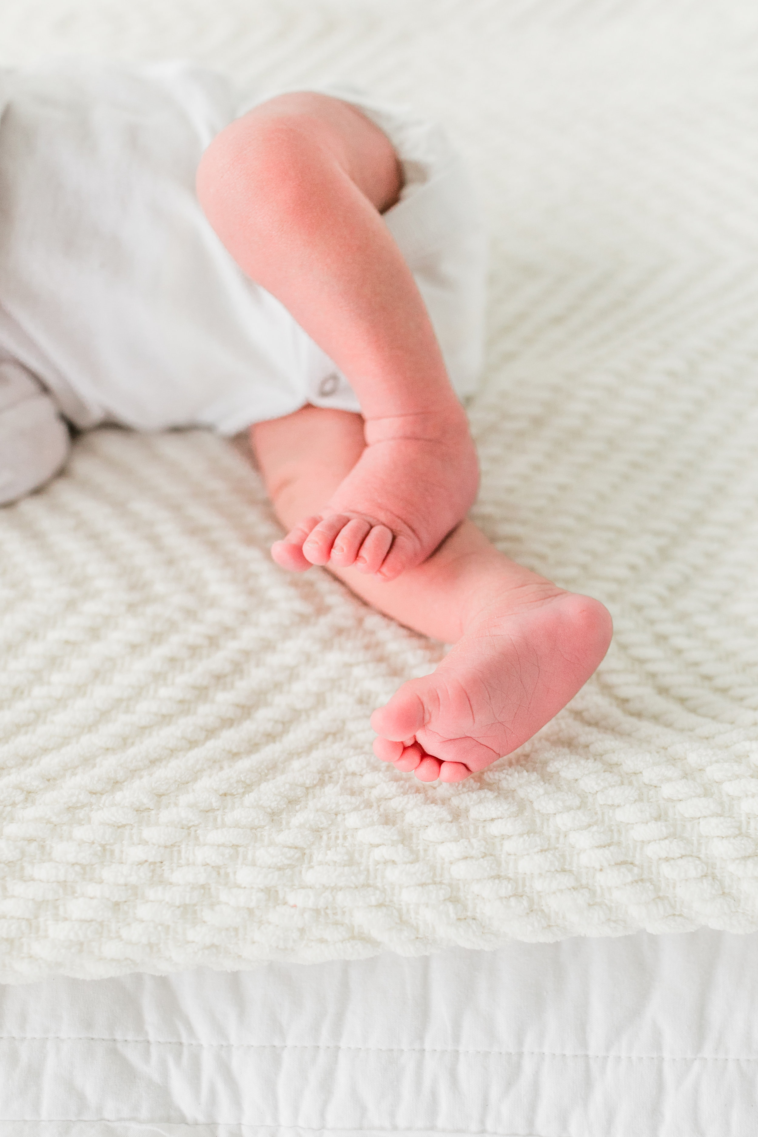 vanessa wyler pewaukee waukesha newborn photography