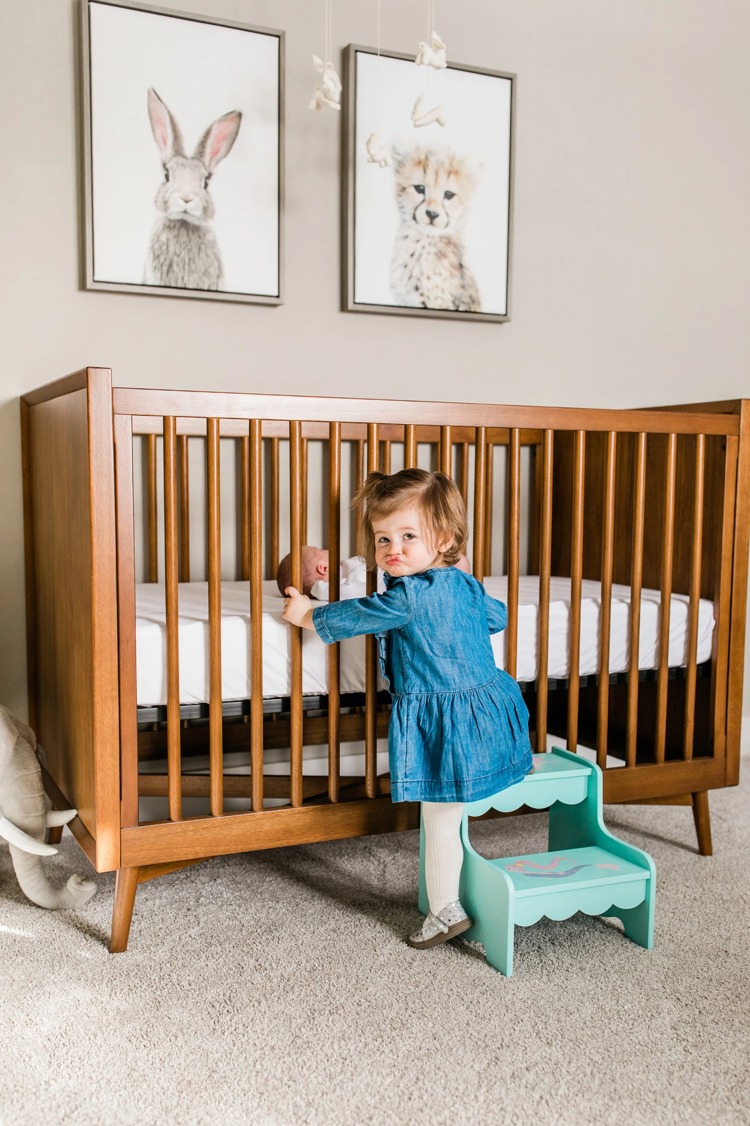 vanessa wyler pewaukee sussex lake country newborn photography