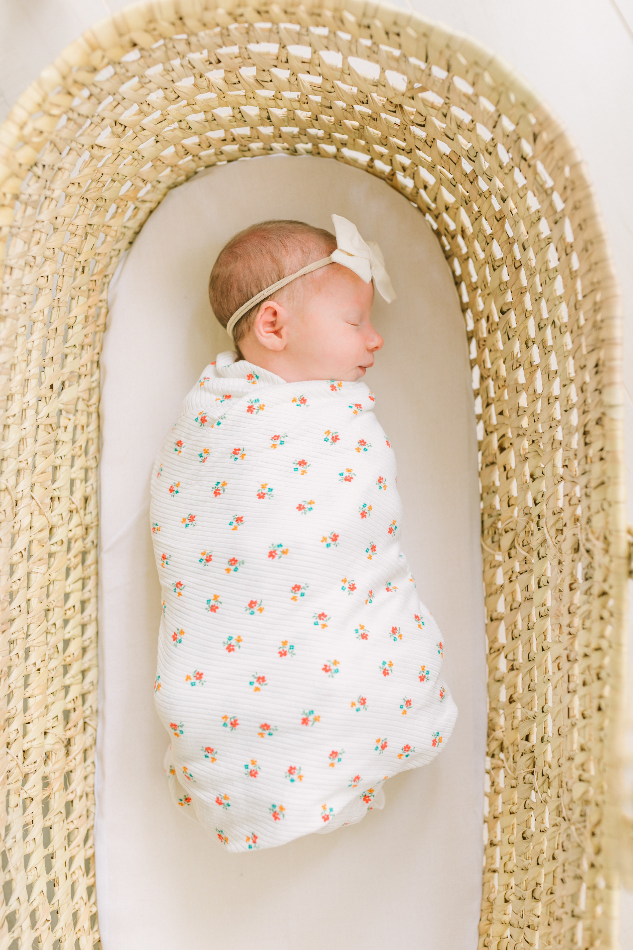 vanessa wyler waukesha newborn photography