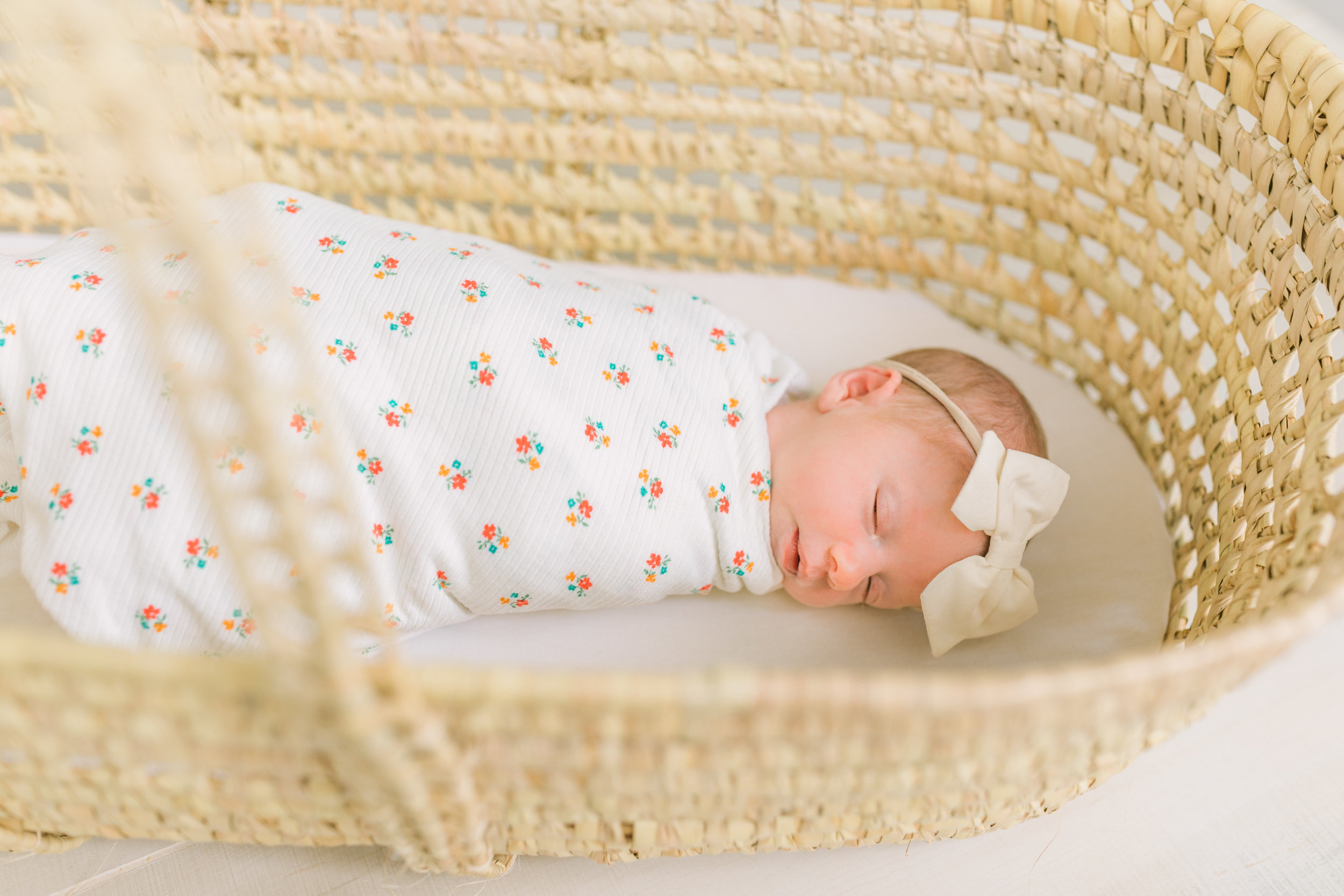 vanessa wyler waukesha newborn photography