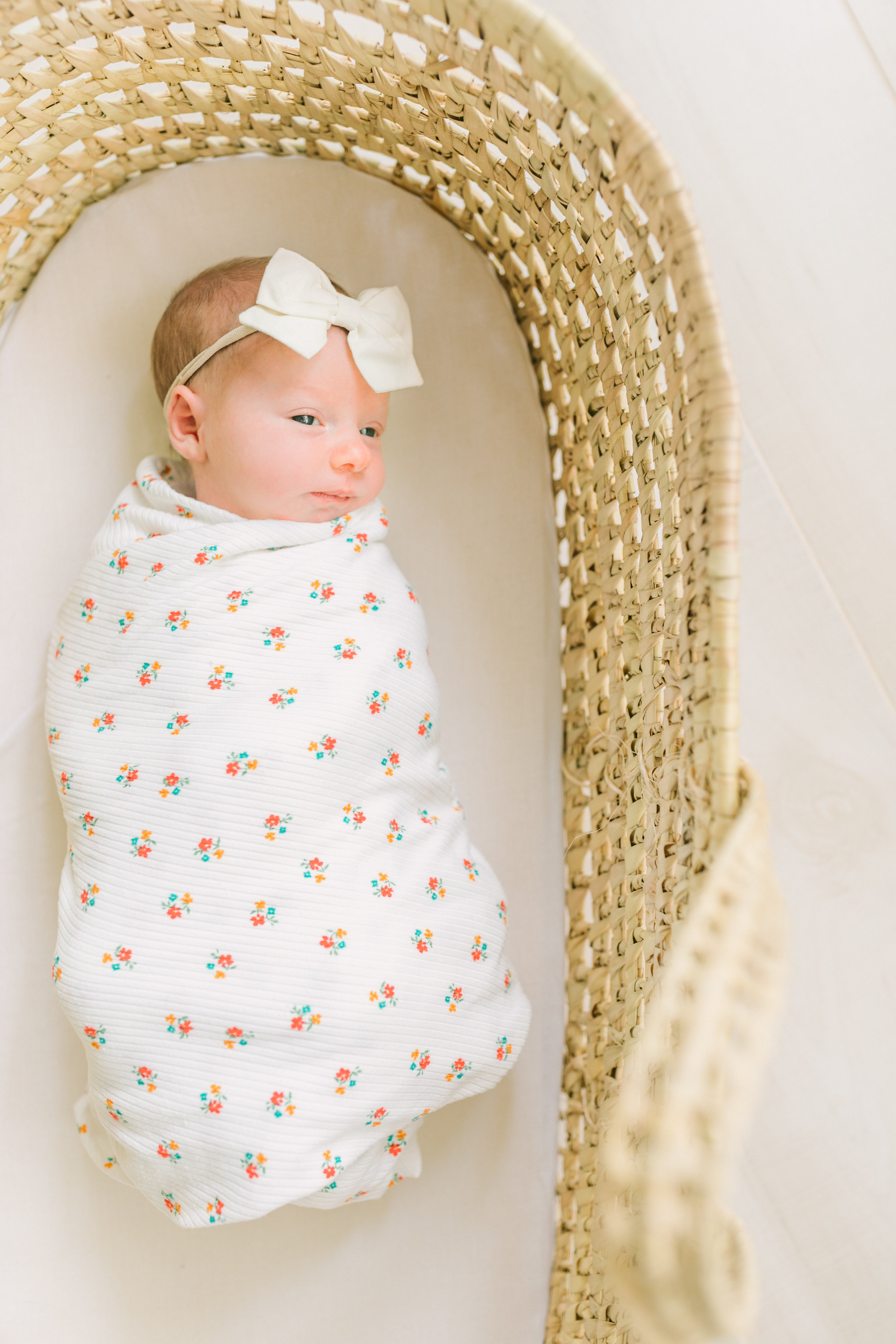 vanessa wyler waukesha newborn photography