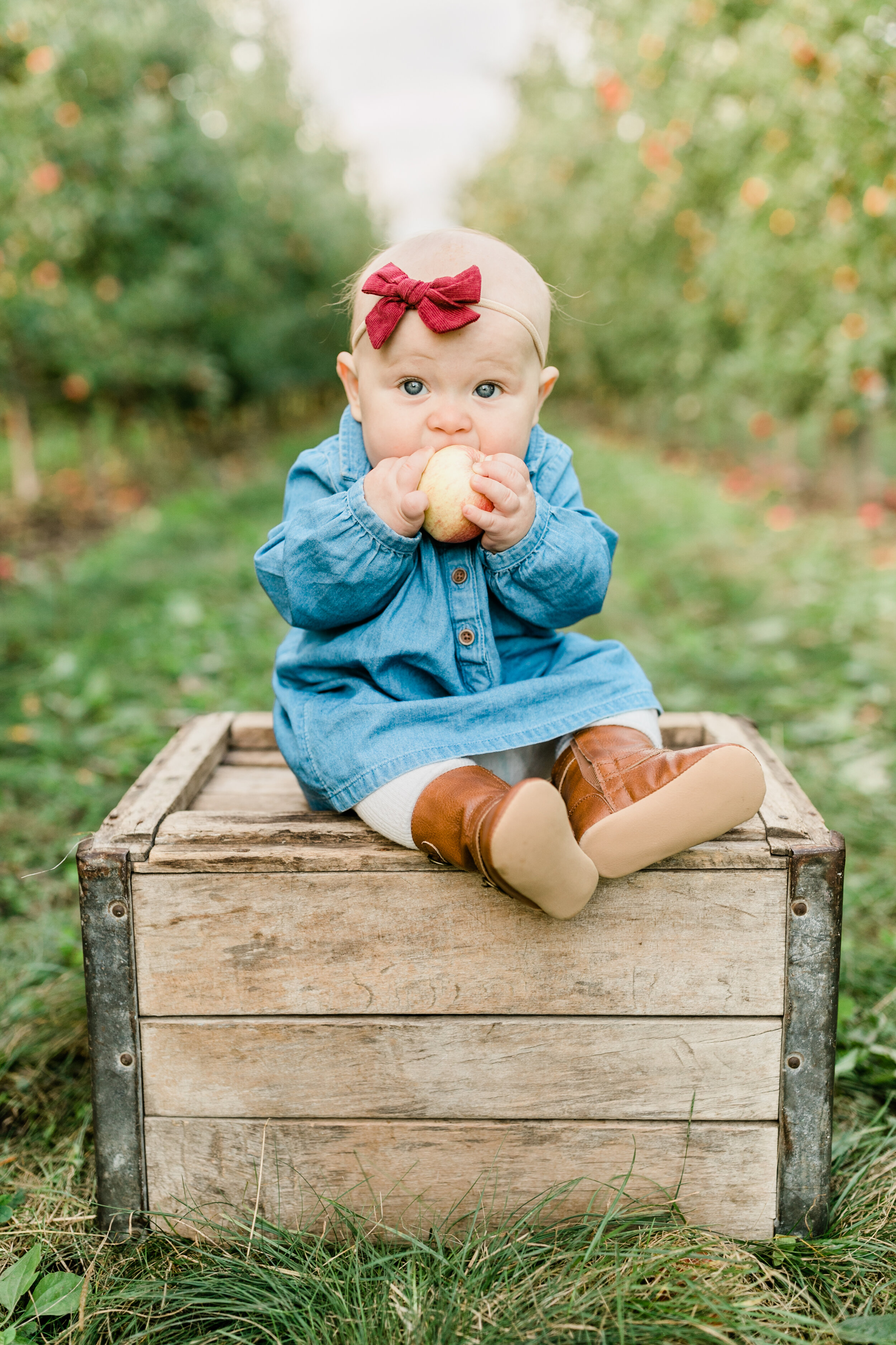 vanessa wyler family photography pewaukee waukesha