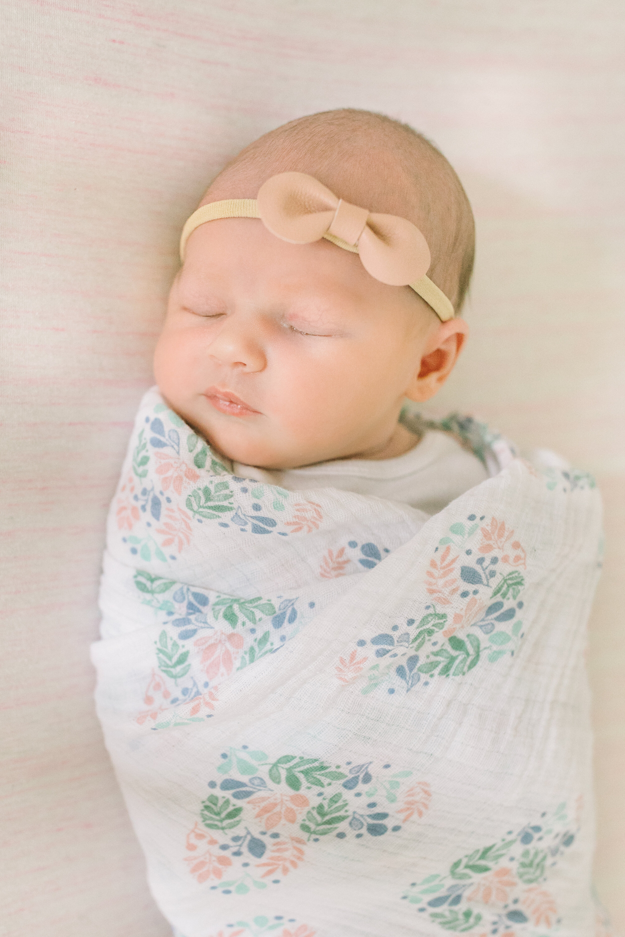 vanessa wyler hartland newborn photography
