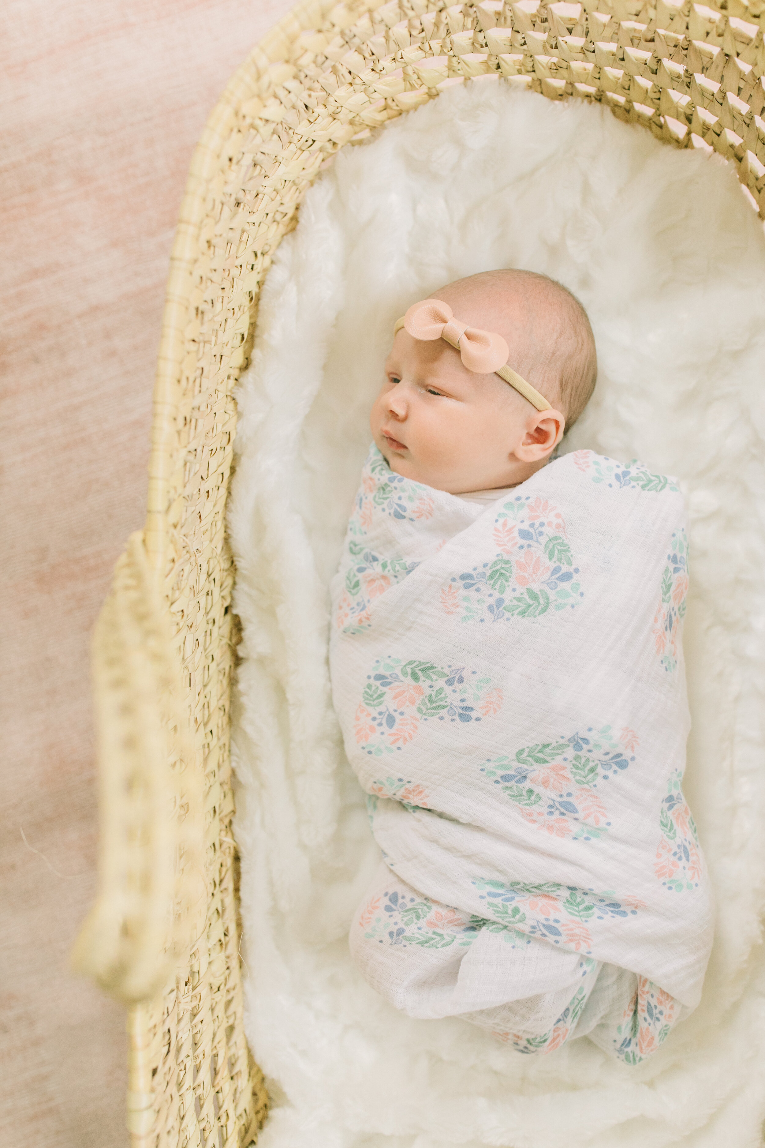 vanessa wyler hartland newborn photography