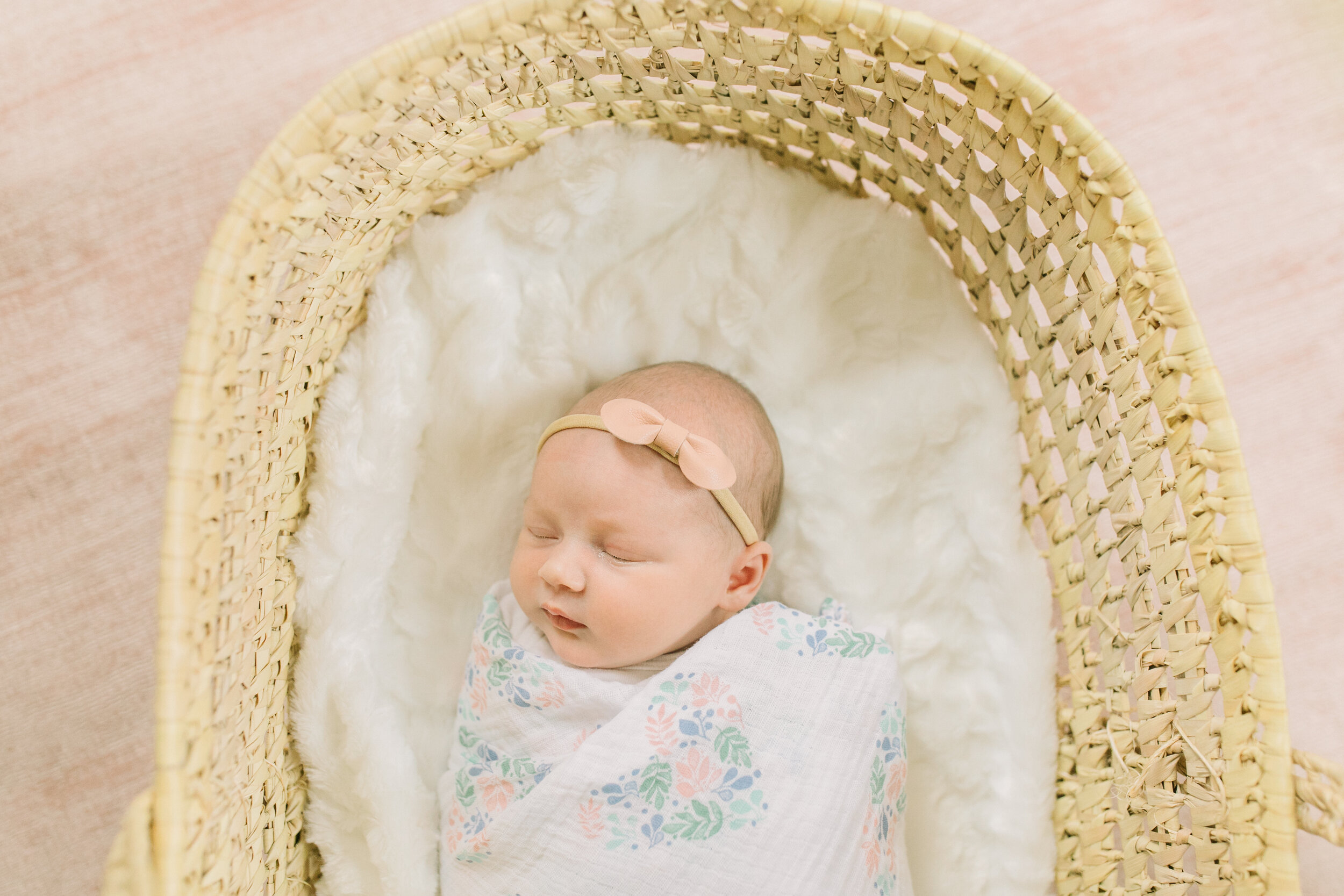 vanessa wyler hartland newborn photography