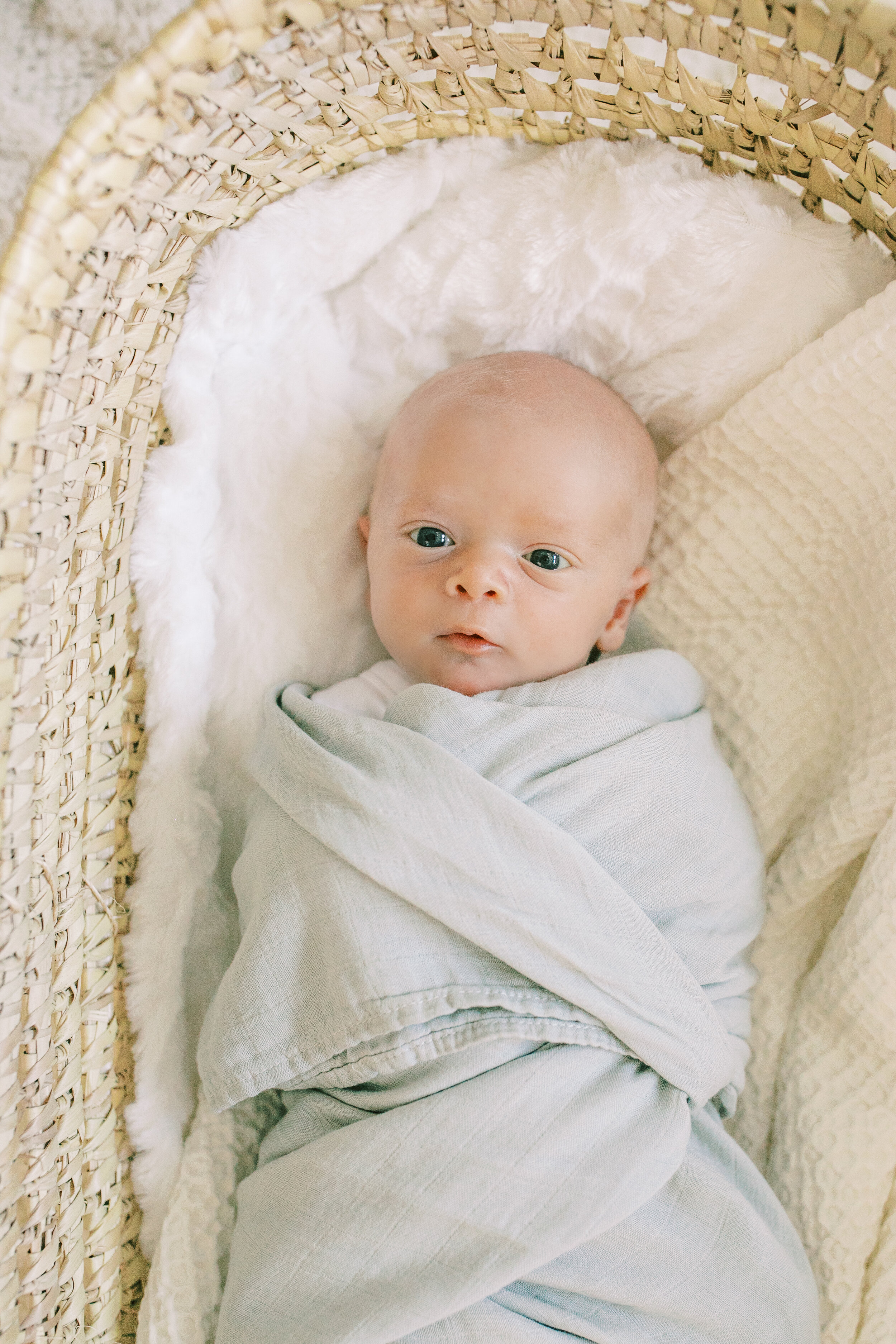 Baby James Pewaukee Newborn Photography Vanessa Wyler