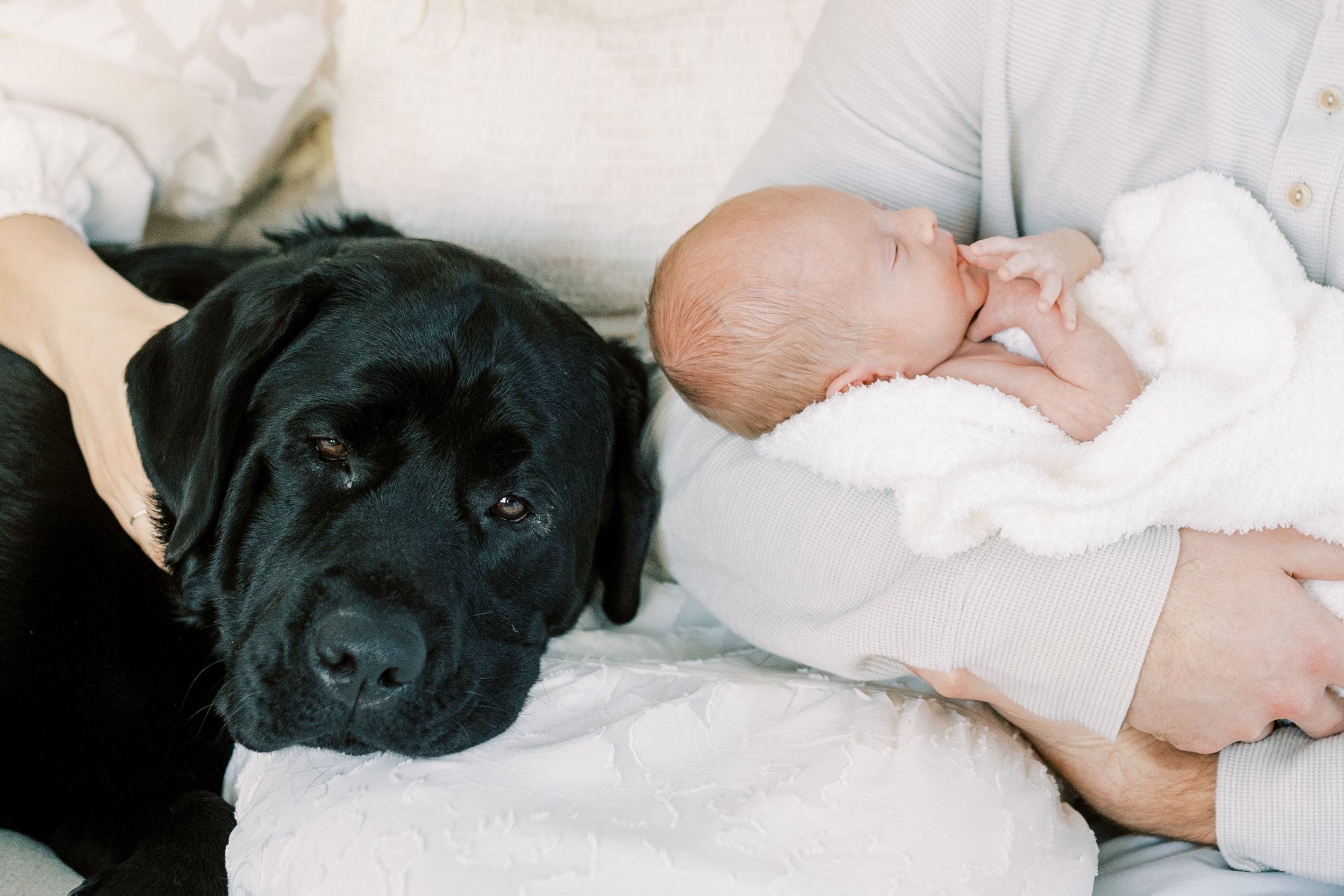 Vanessa Wyler Merton Newborn Photography