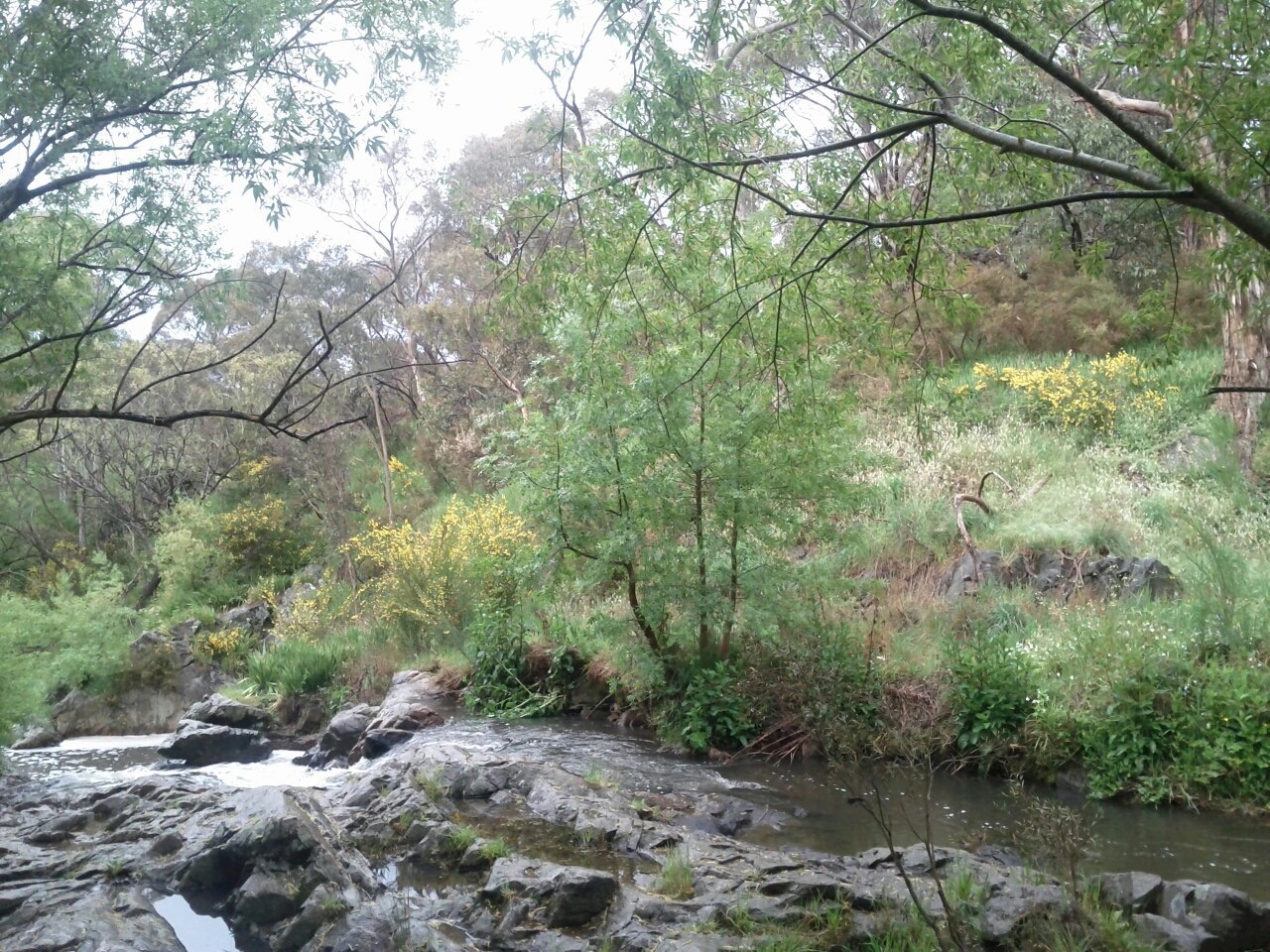 our creek.jpg