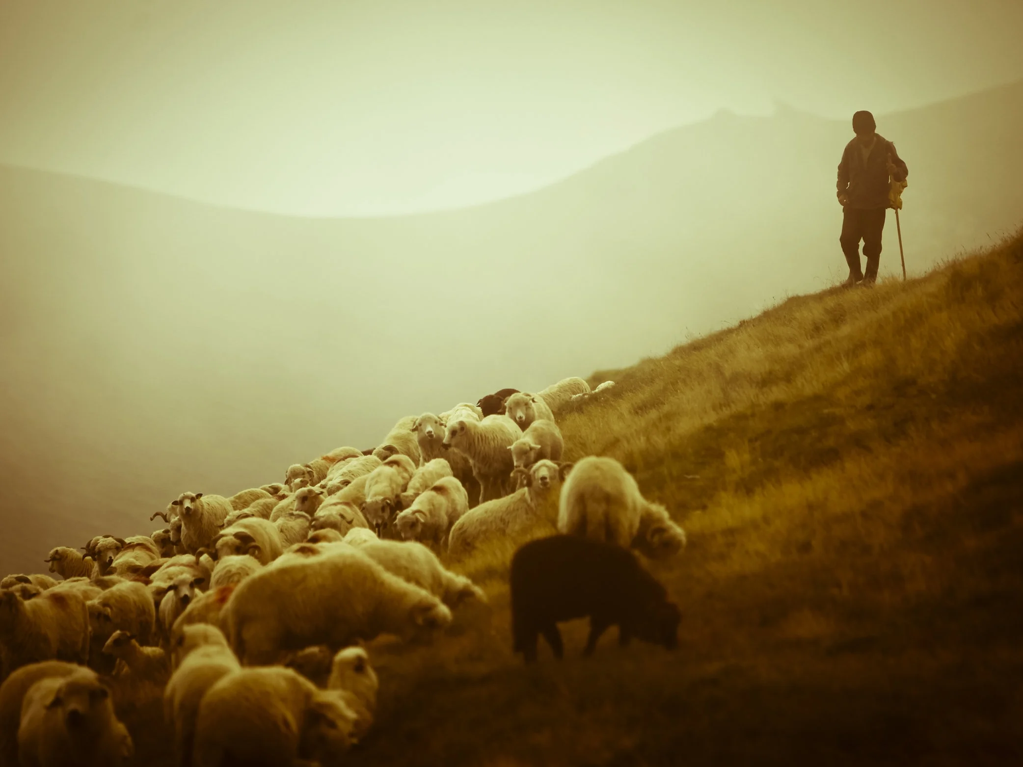 the-Lord-is-my-Shepherd.jpg
