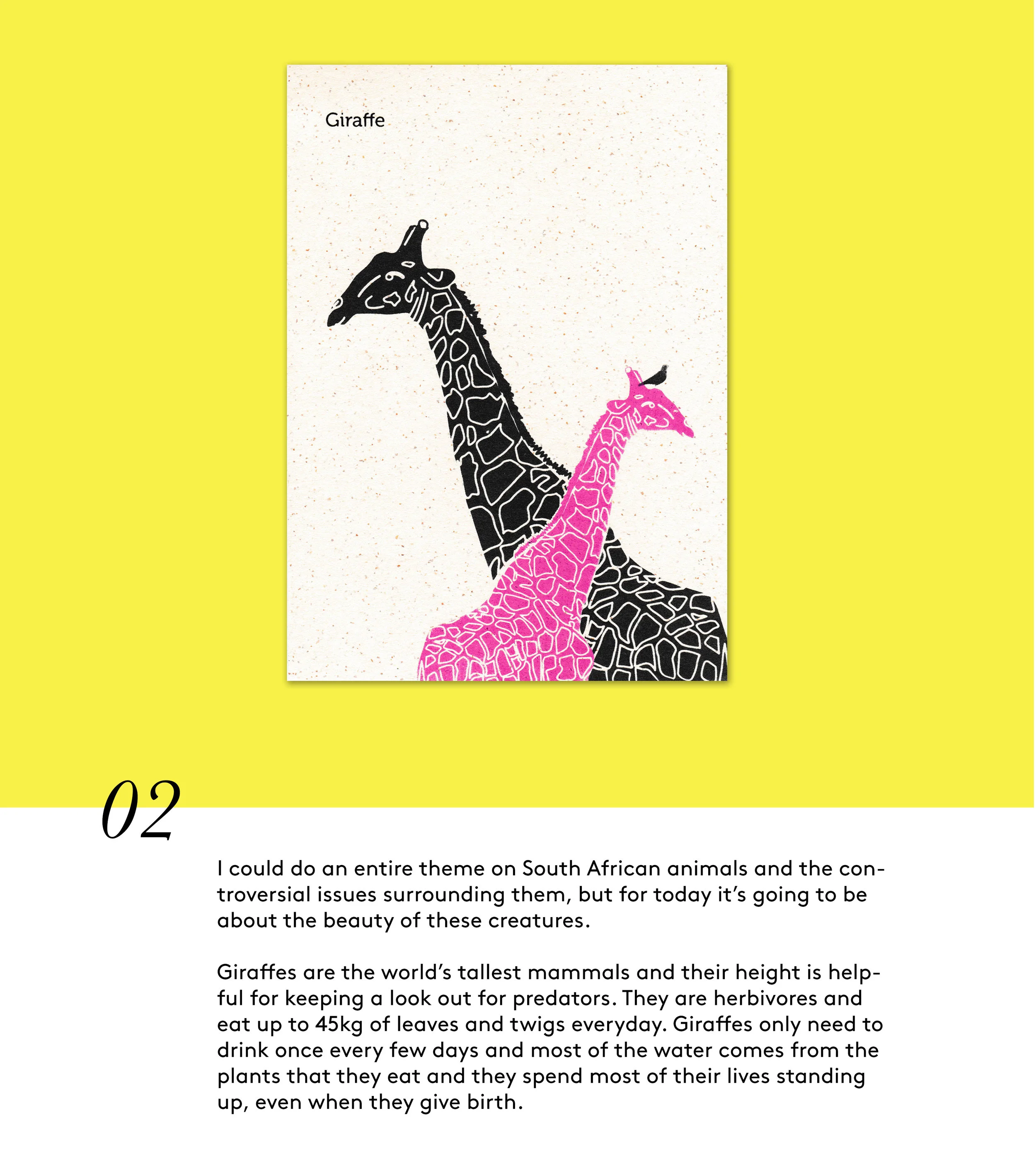giraffe.jpg