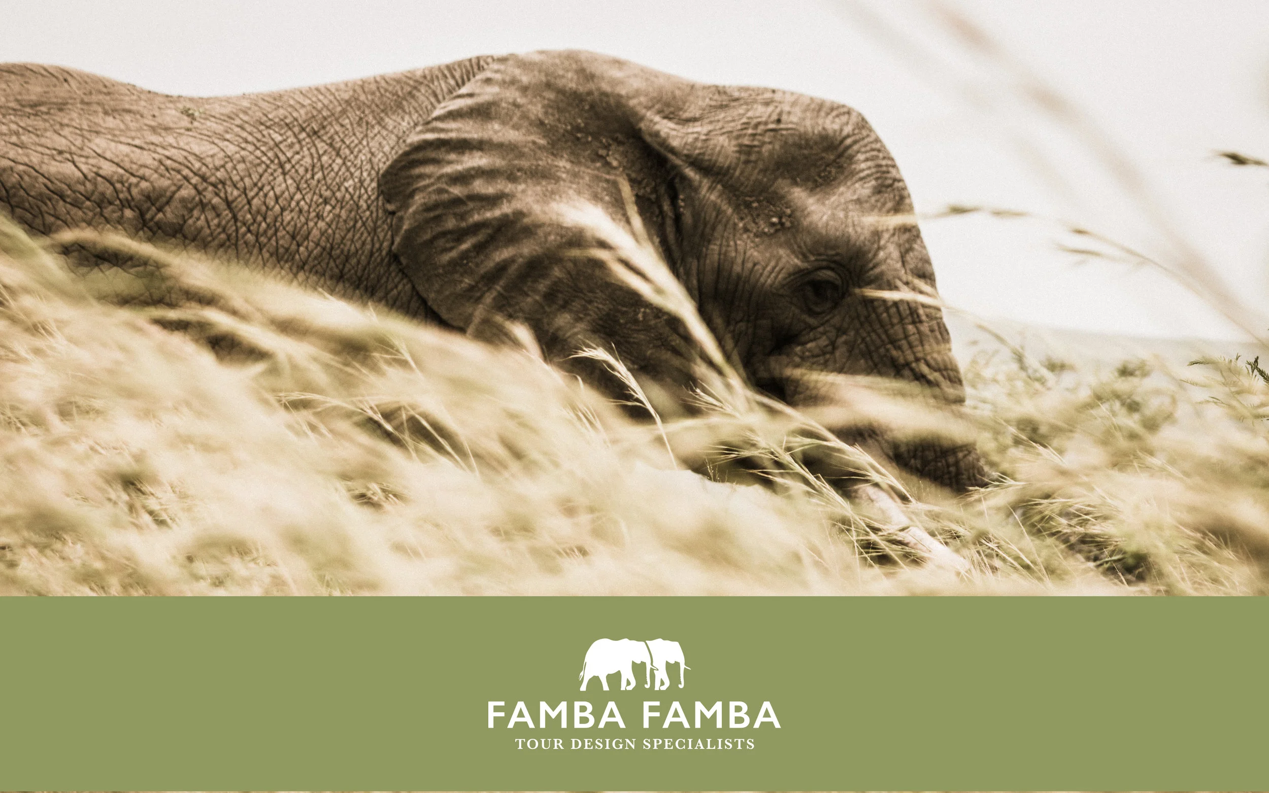 famba_logo.jpg