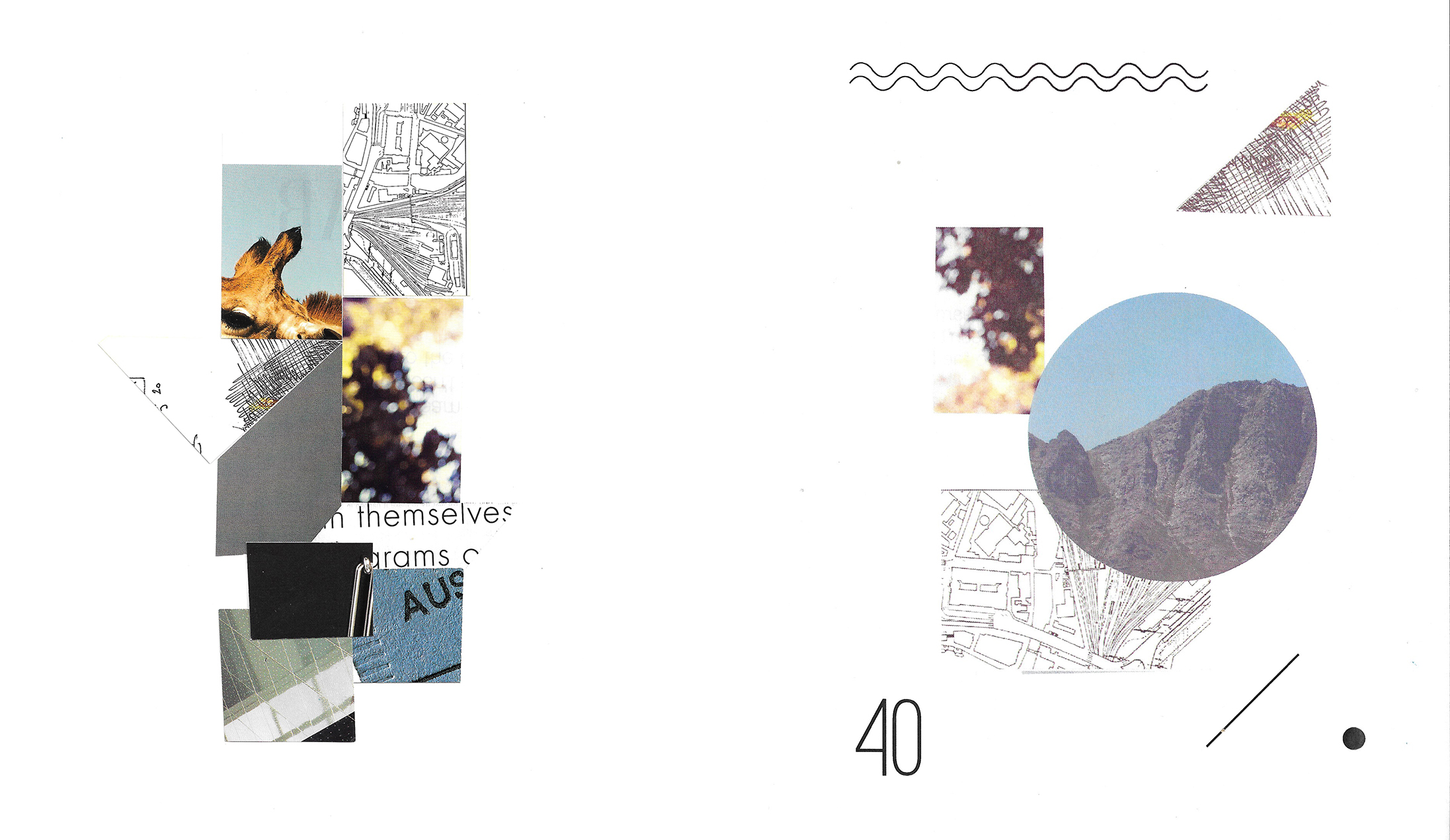 poetry collage.1.jpeg