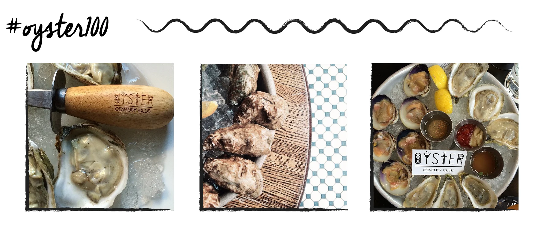 oyster images-01.jpg
