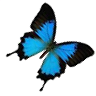 image1.png