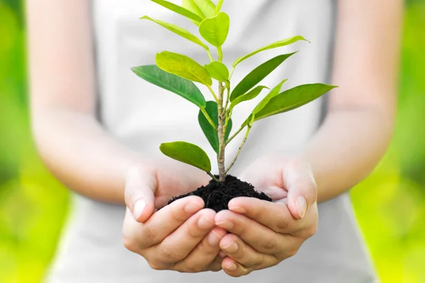 earth-day-tips-c.jpg