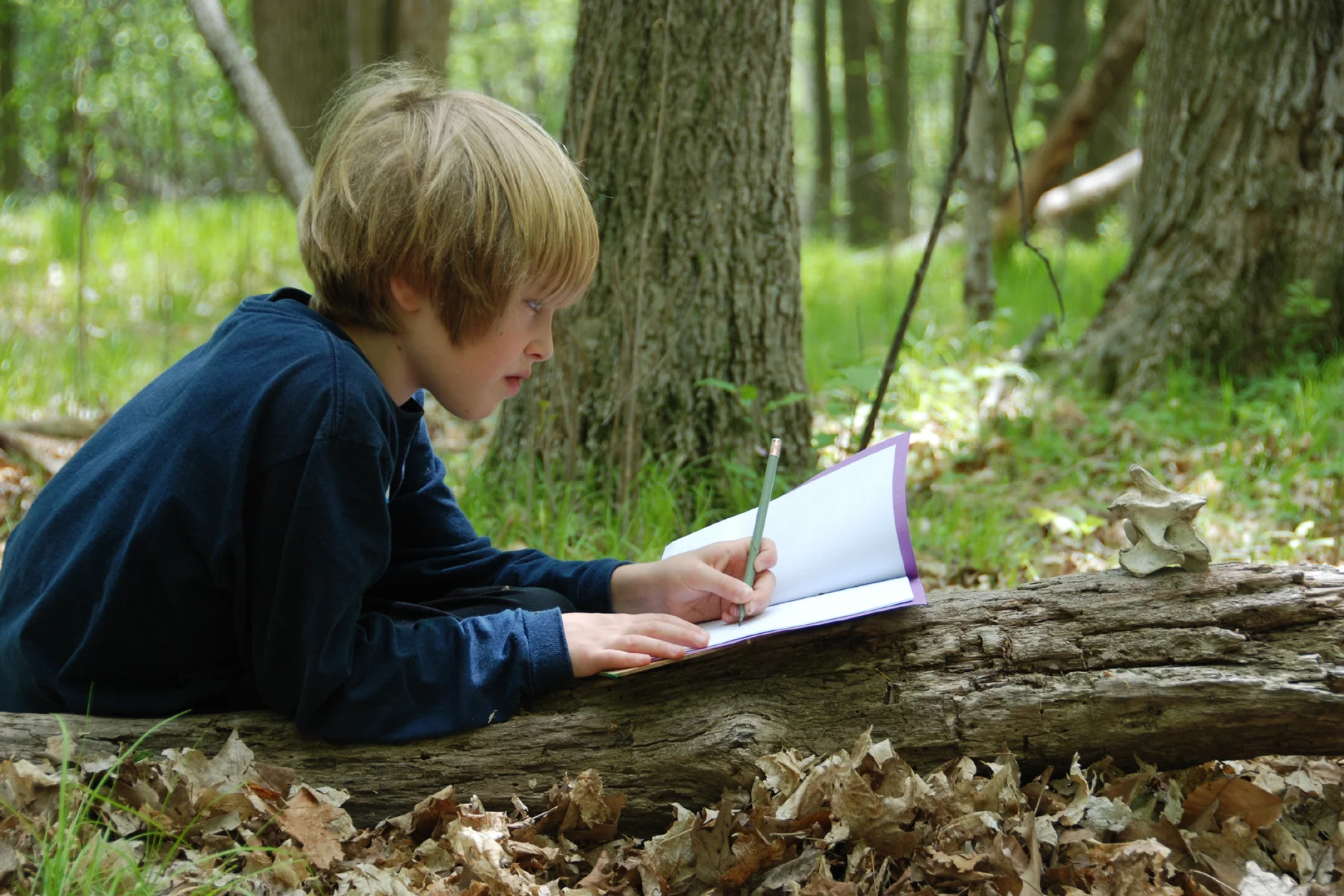 children_nature_3-yesilist-website.jpg
