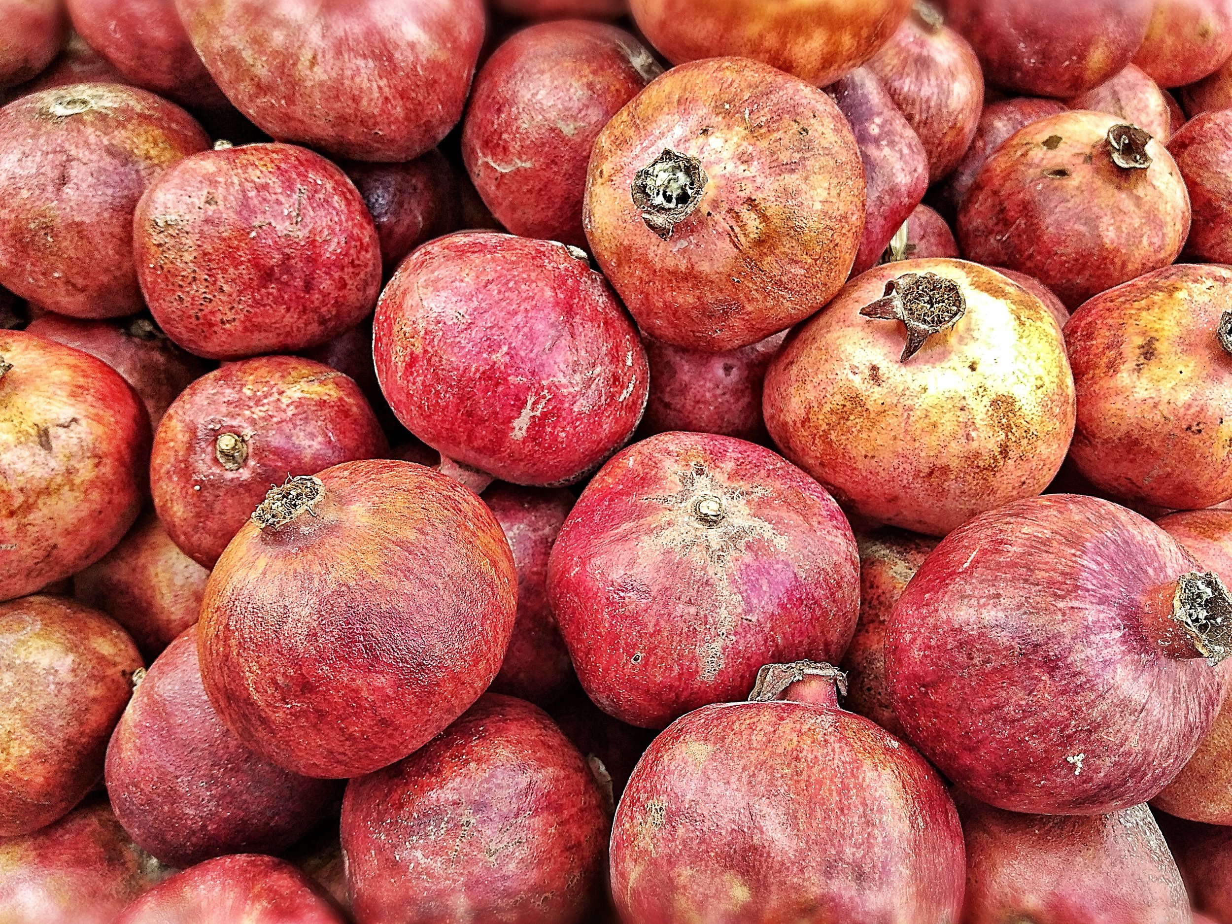 Kinda look like apples, don’t they?