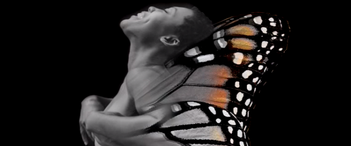 butterfly-3.PNG