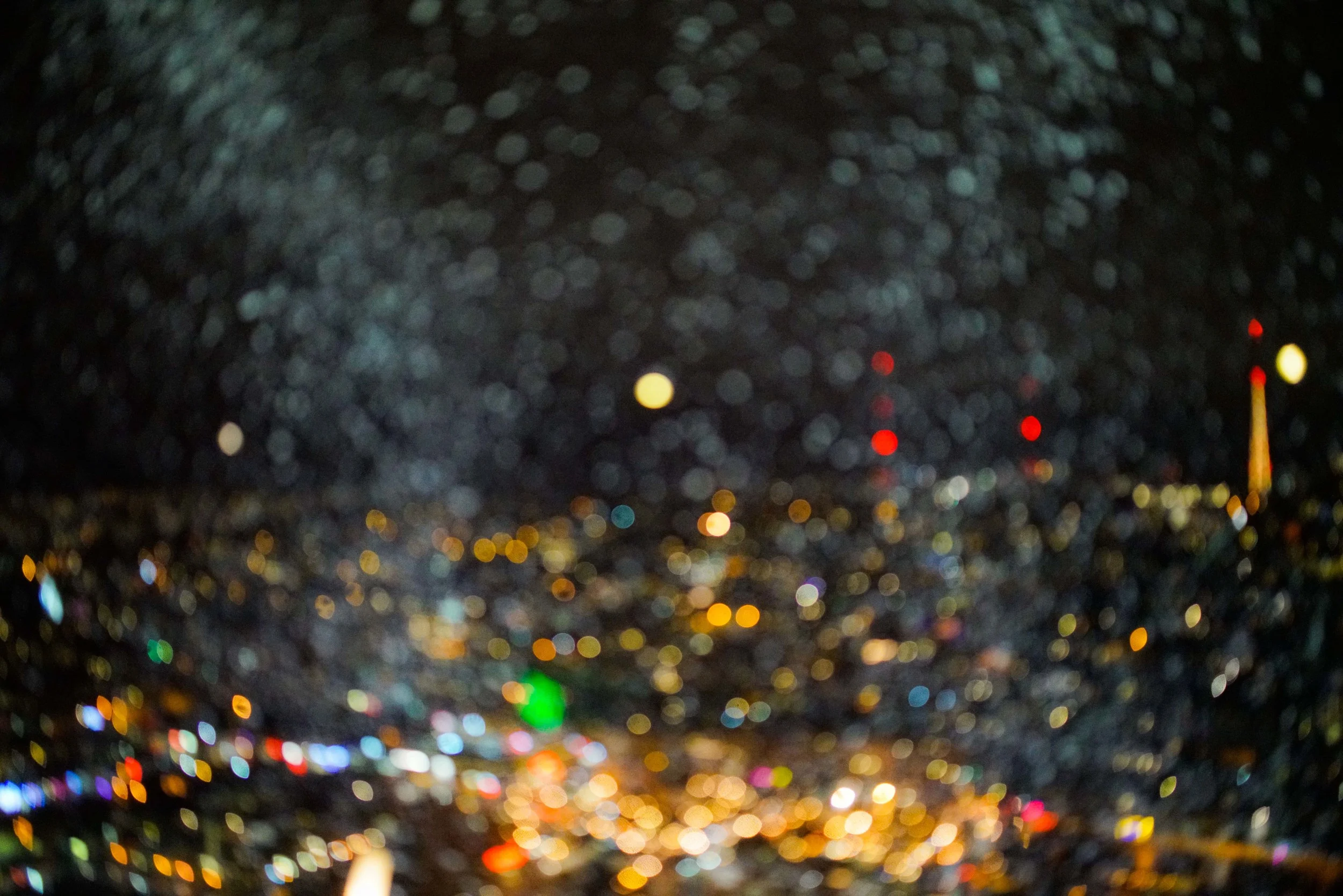 DSC02213.jpg