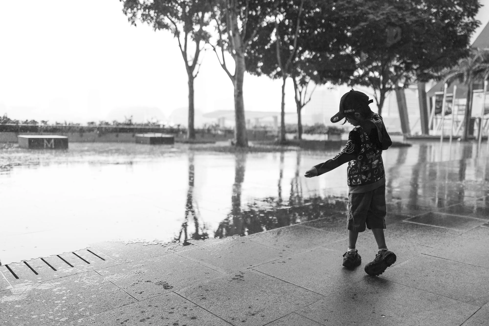 L1030023.jpg