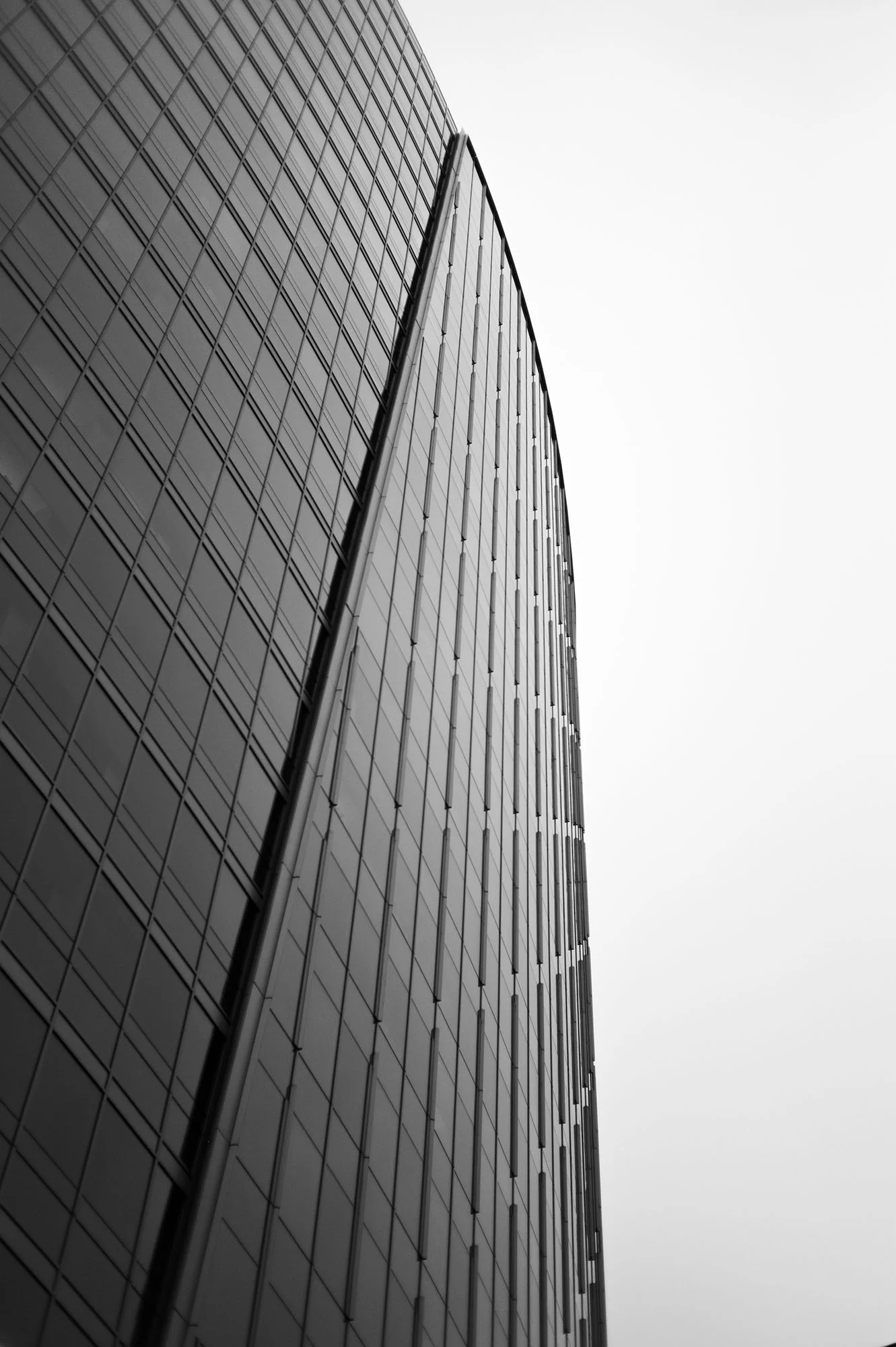 L1172296.jpg