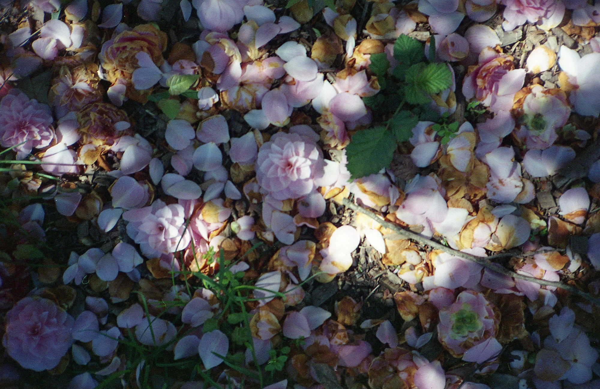 img024.jpg