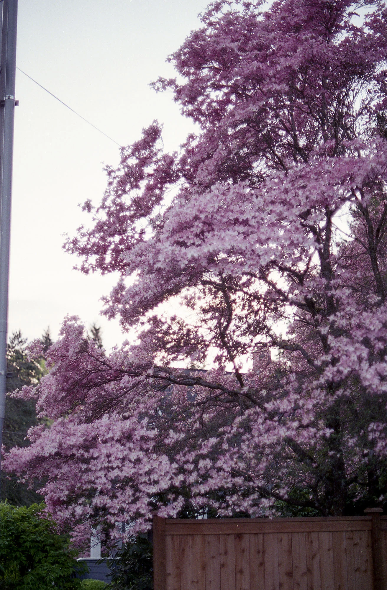 img016.jpg