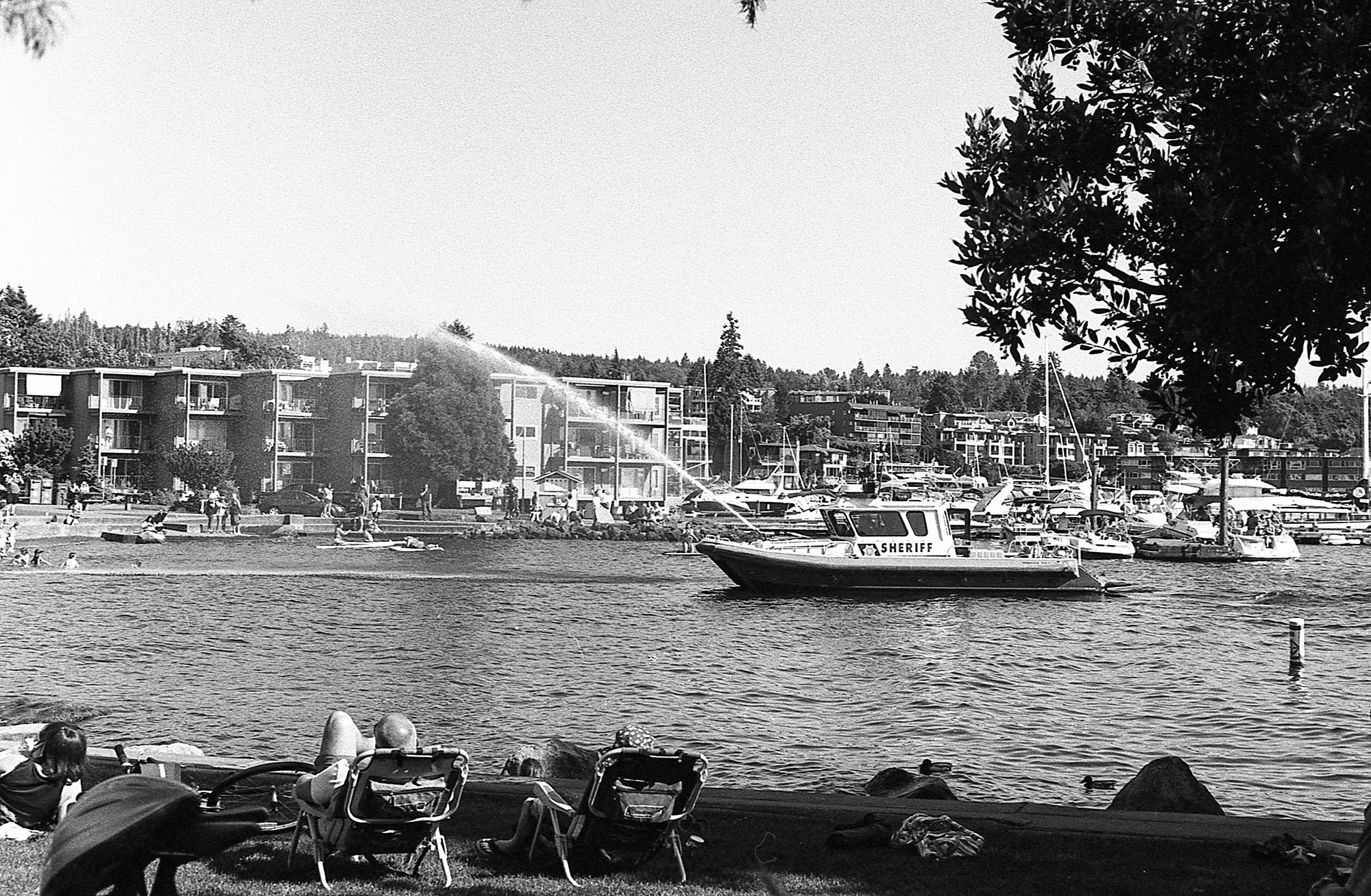 11KodakTriX-M6005.jpg