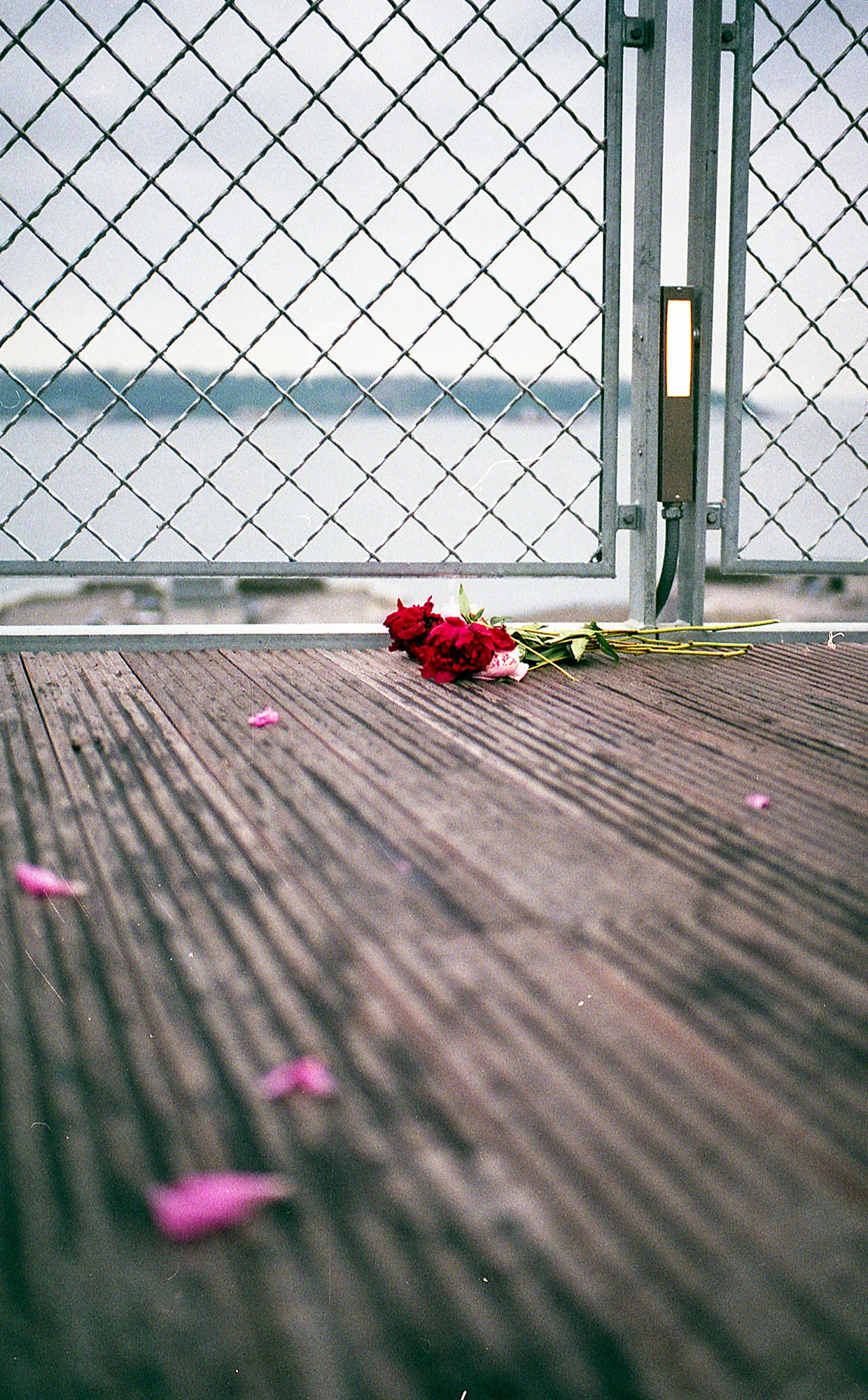 12FujiColor200 (LeicaM6)005.jpg