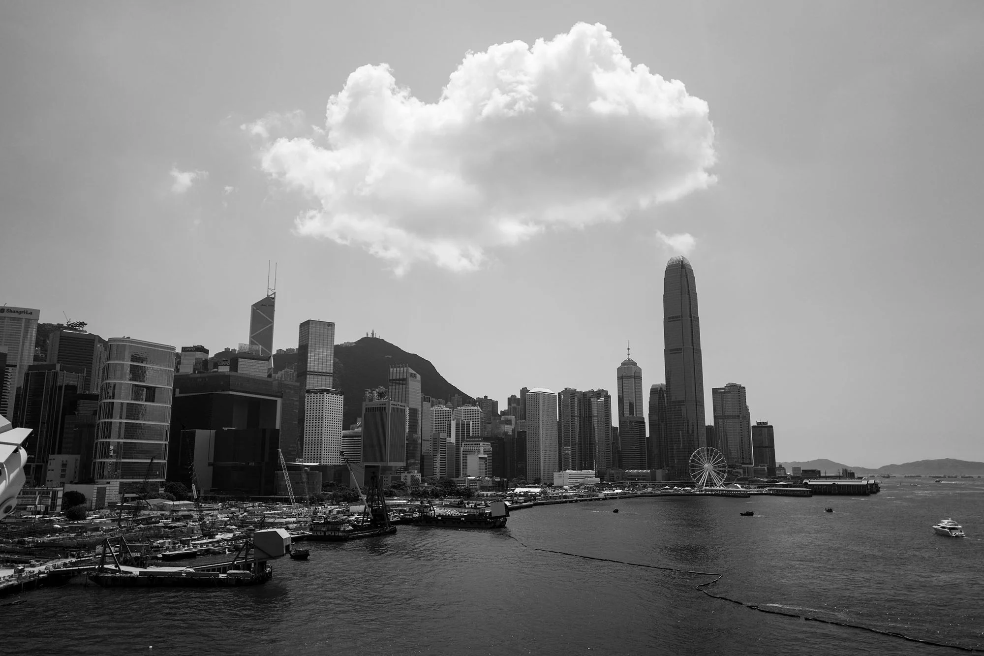 L1040001.jpg
