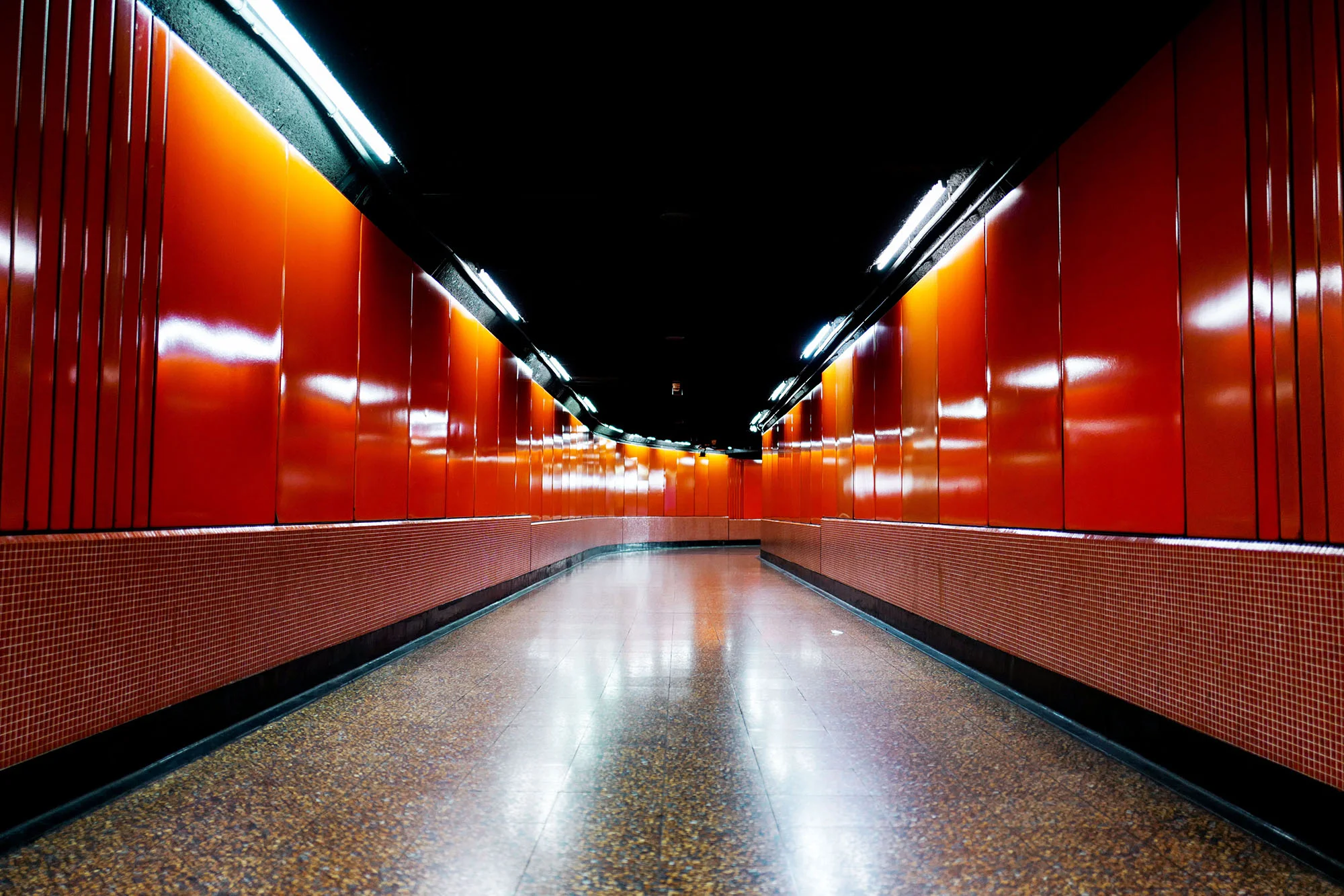 L1040393.jpg