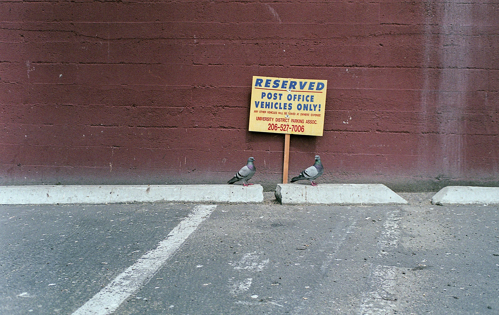 15FujiColor200(LeicaM6)010.jpg