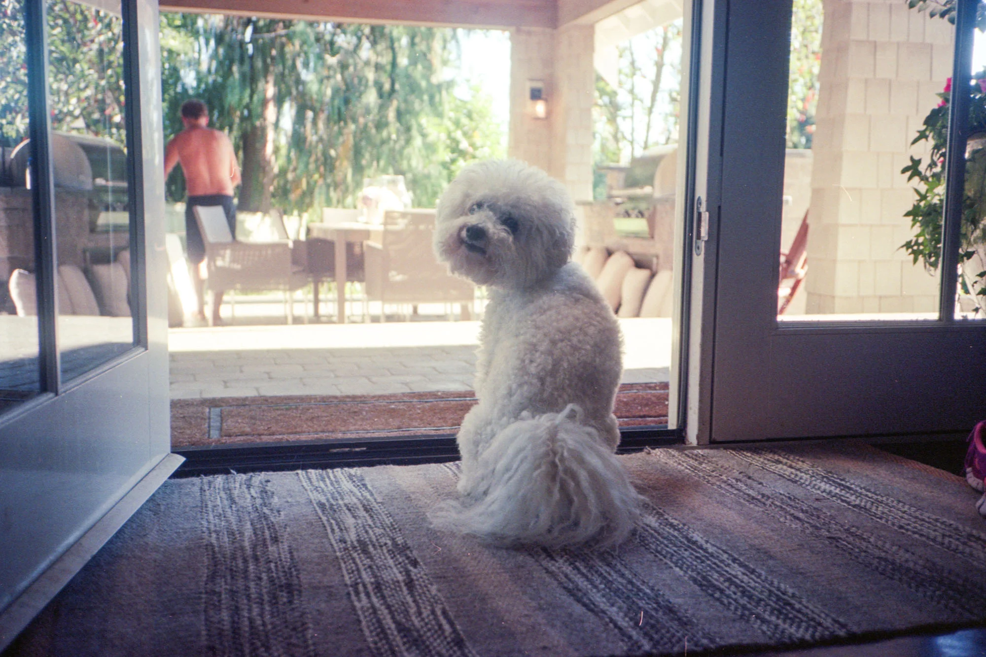 17KodakPortra160 (L35)017.jpg