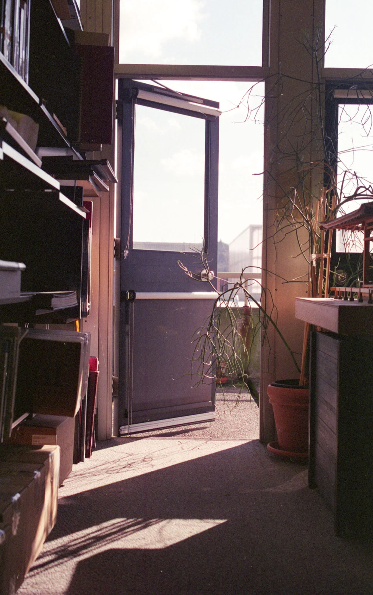33 FujiColor200 (M6 M3)018.jpg