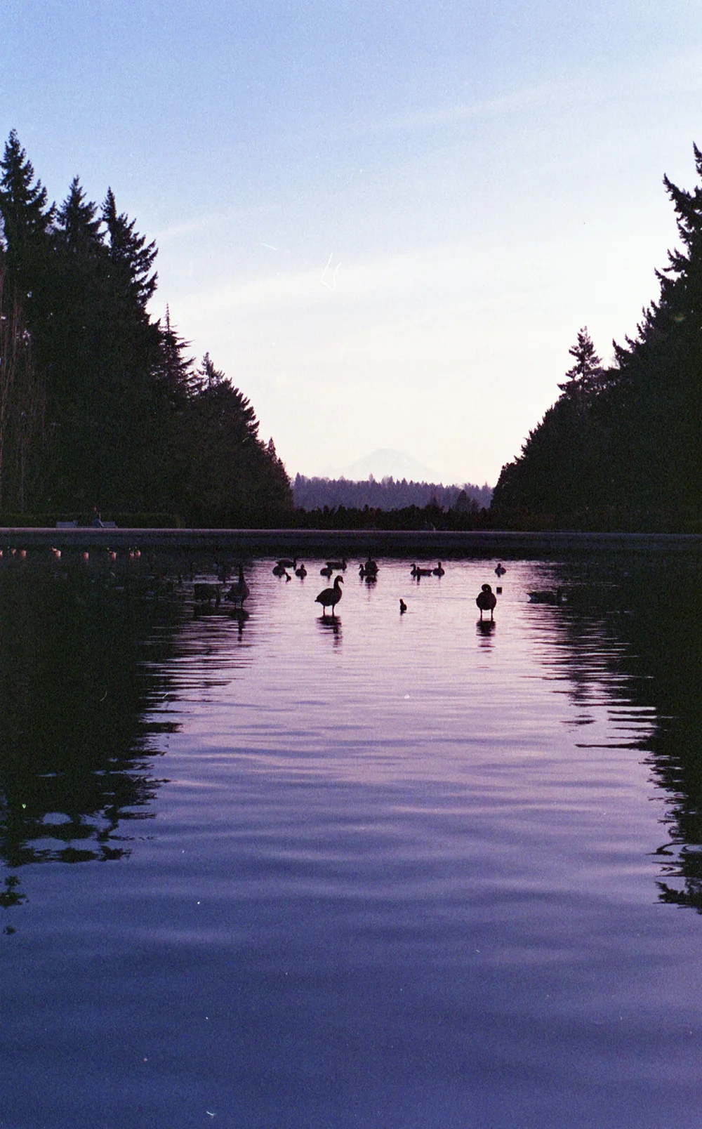 28FujiColor200 (M6)14.jpg