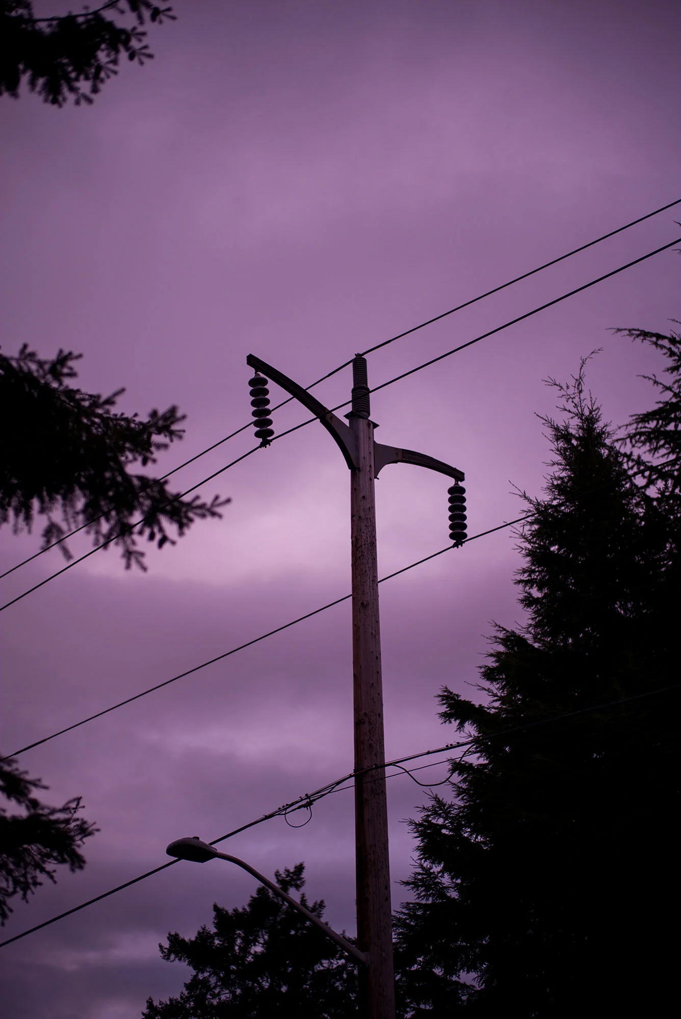 L1000056.jpg