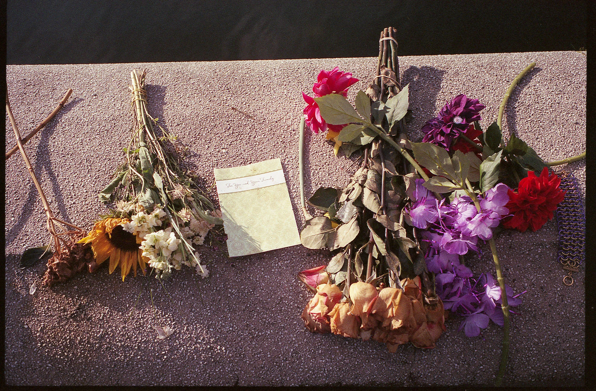 80FujiColor200(MP)23.jpg