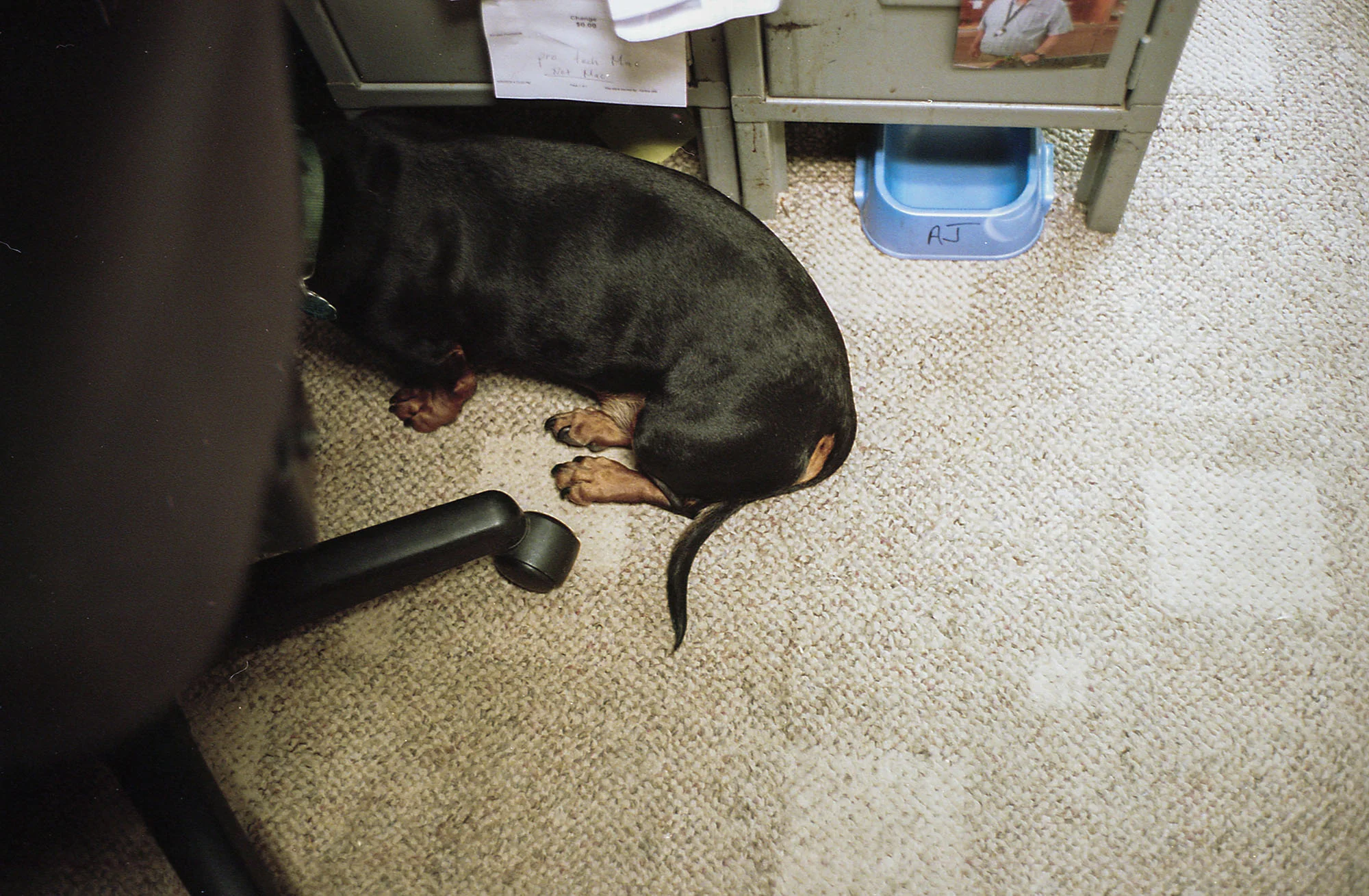 46KodakPortra160(MP)006.jpg