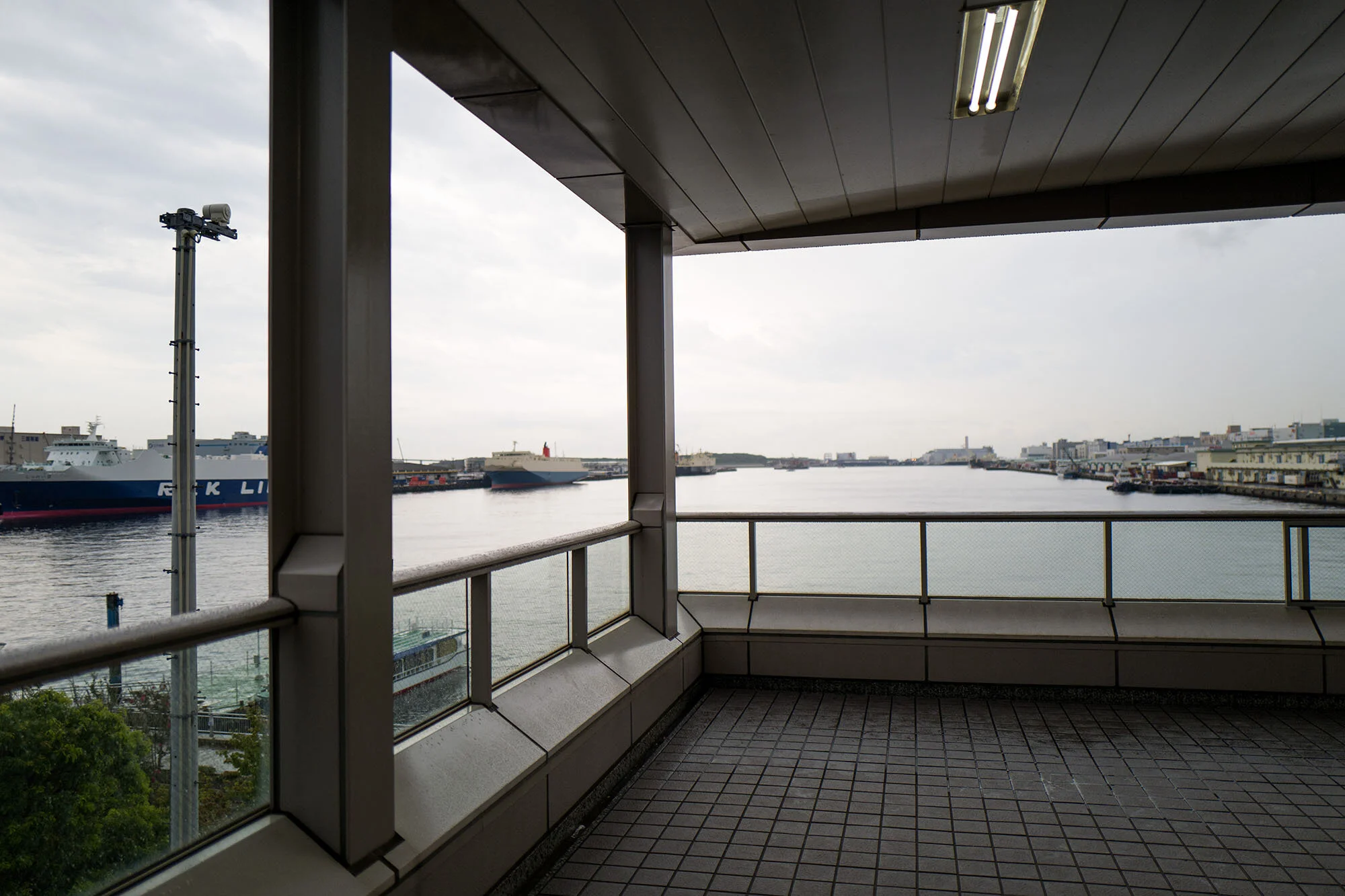 L1020753.jpg