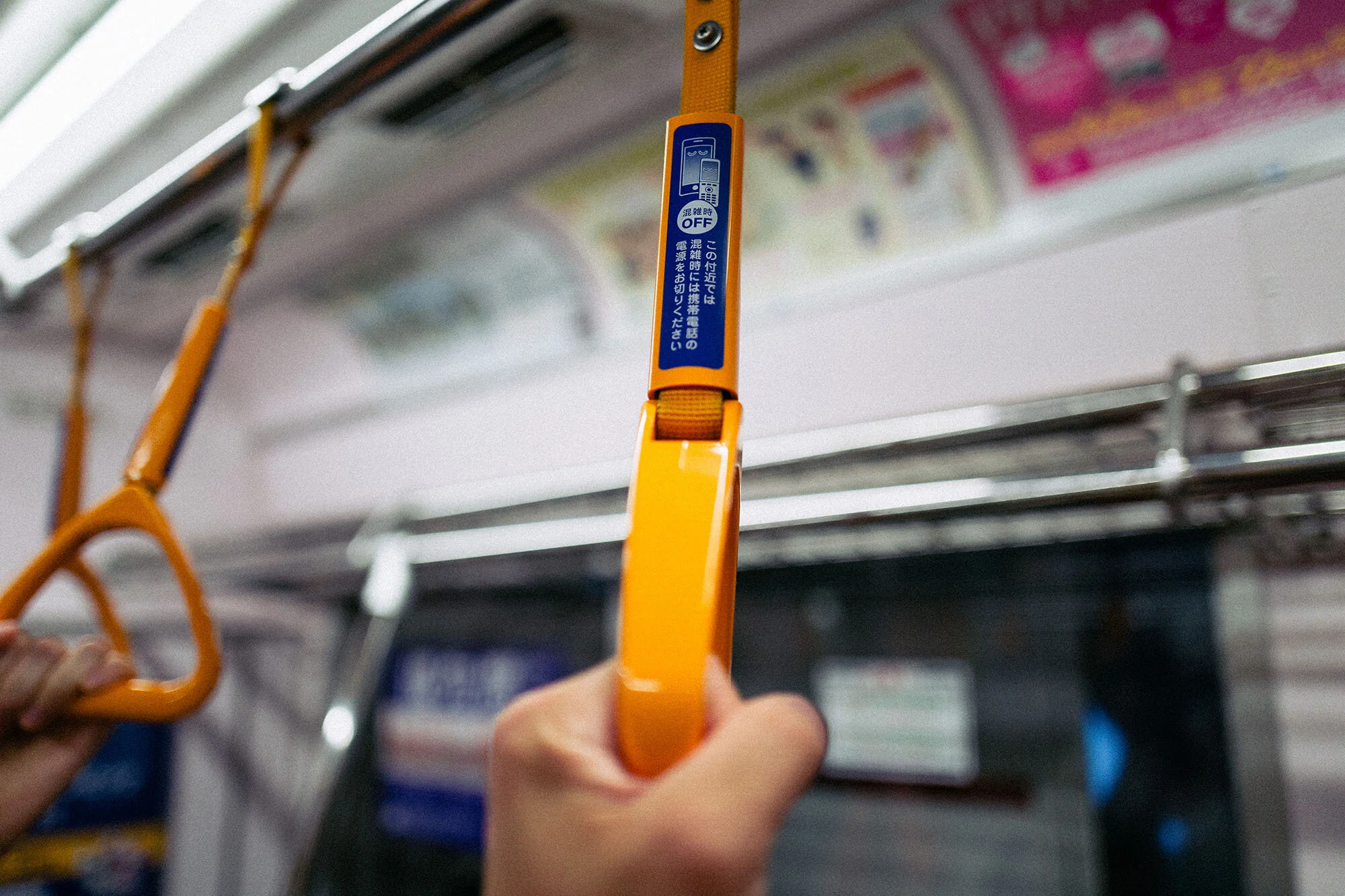 L1030327.jpg