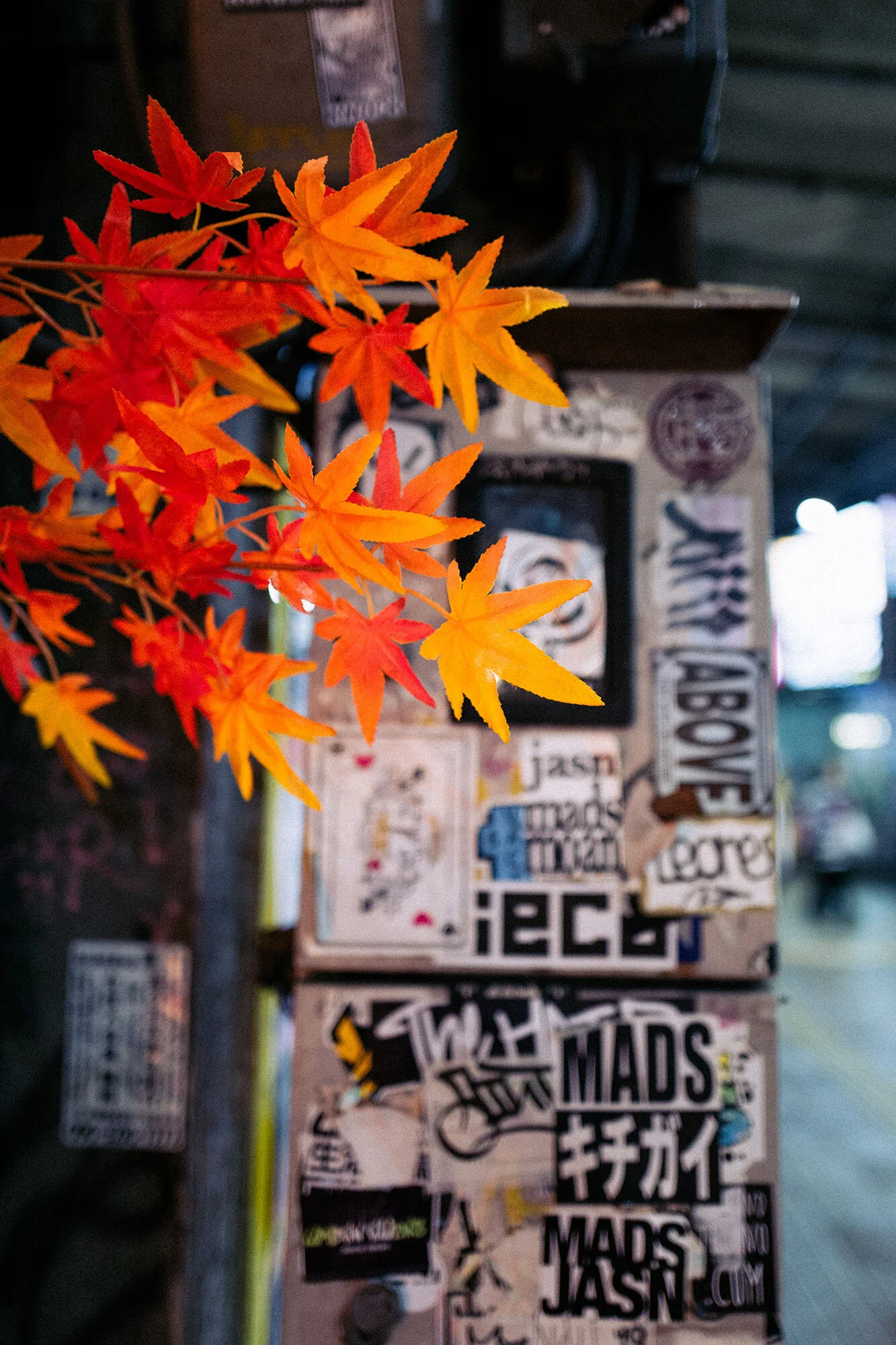 L1030415.jpg