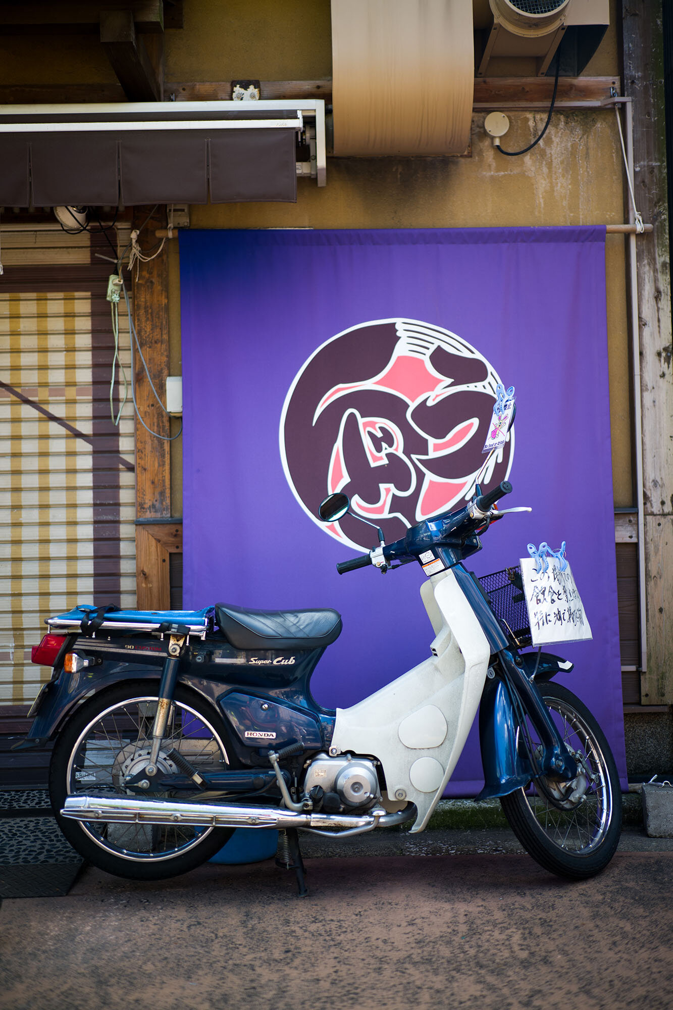 L1140972.jpg