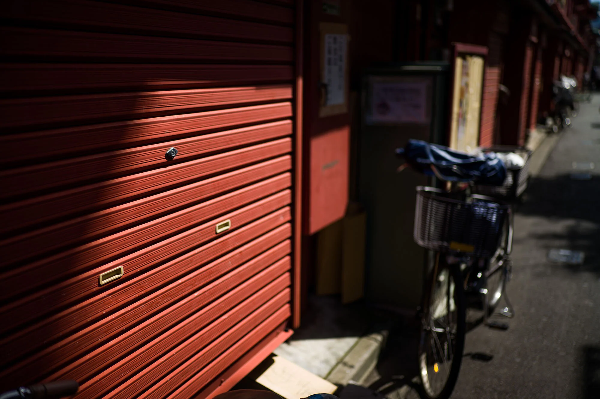 L1140977.jpg