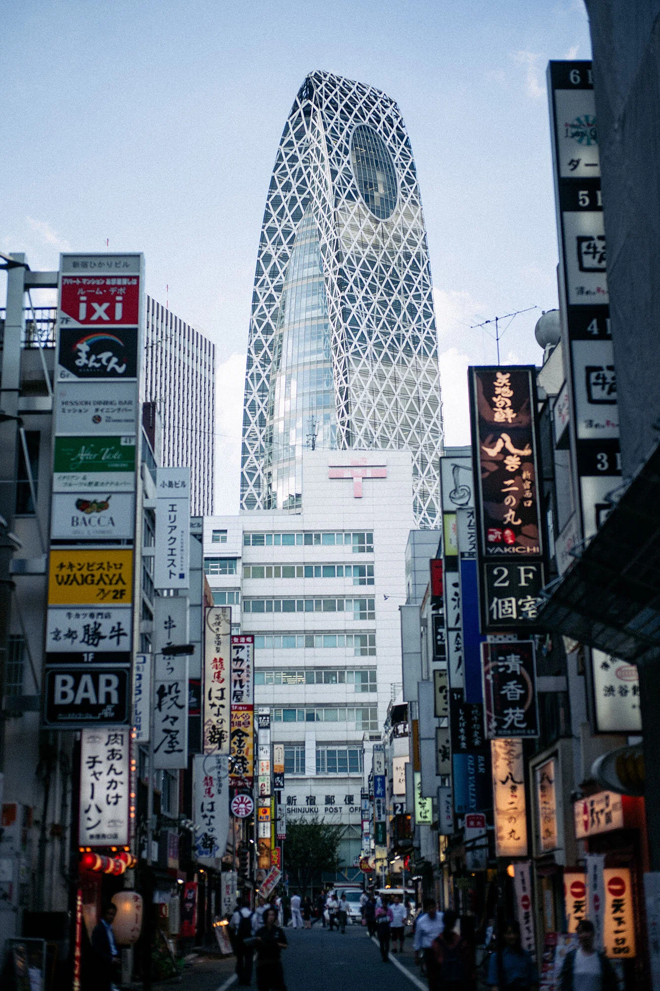 L1150542.jpg