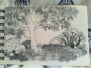 Megan will often present ideas from her sketchbook