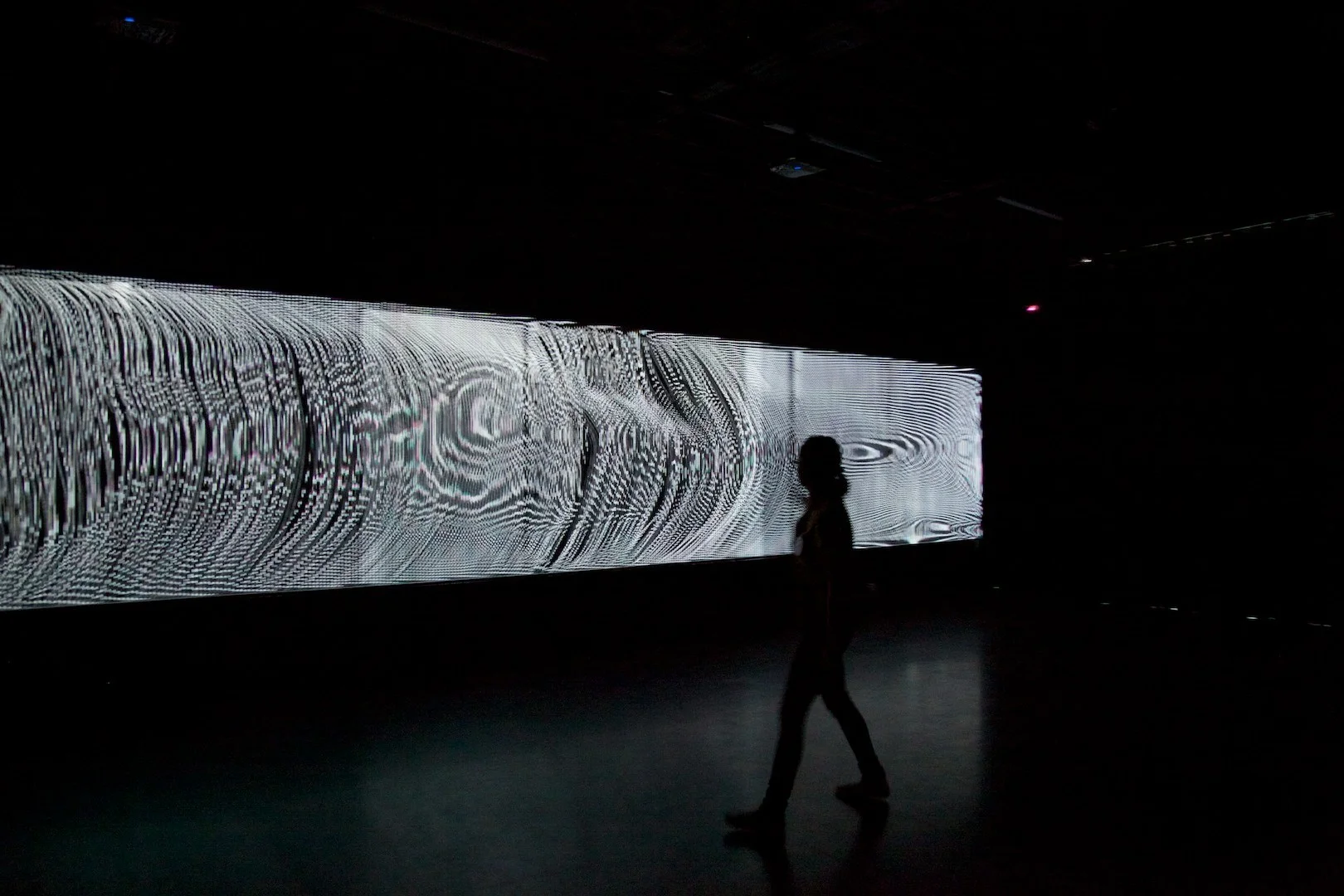 Cuppetelli and Mendoza, Notional Field (2012). Credit: Cuppetelli and Mendoza