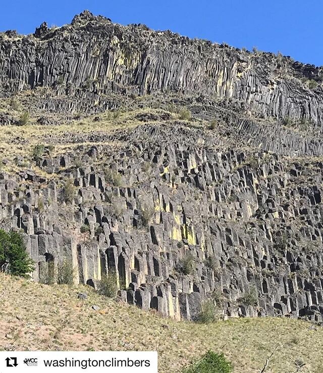 #Repost @washingtonclimbers with @get_repost
・・・
Attention climbers headed to Yakima/Tieton: &ldquo;Yakima County now represents 22% of the 242 COVID-19 hospitalizations statewide, which is a higher percentage than King County, the state&rsquo;s most